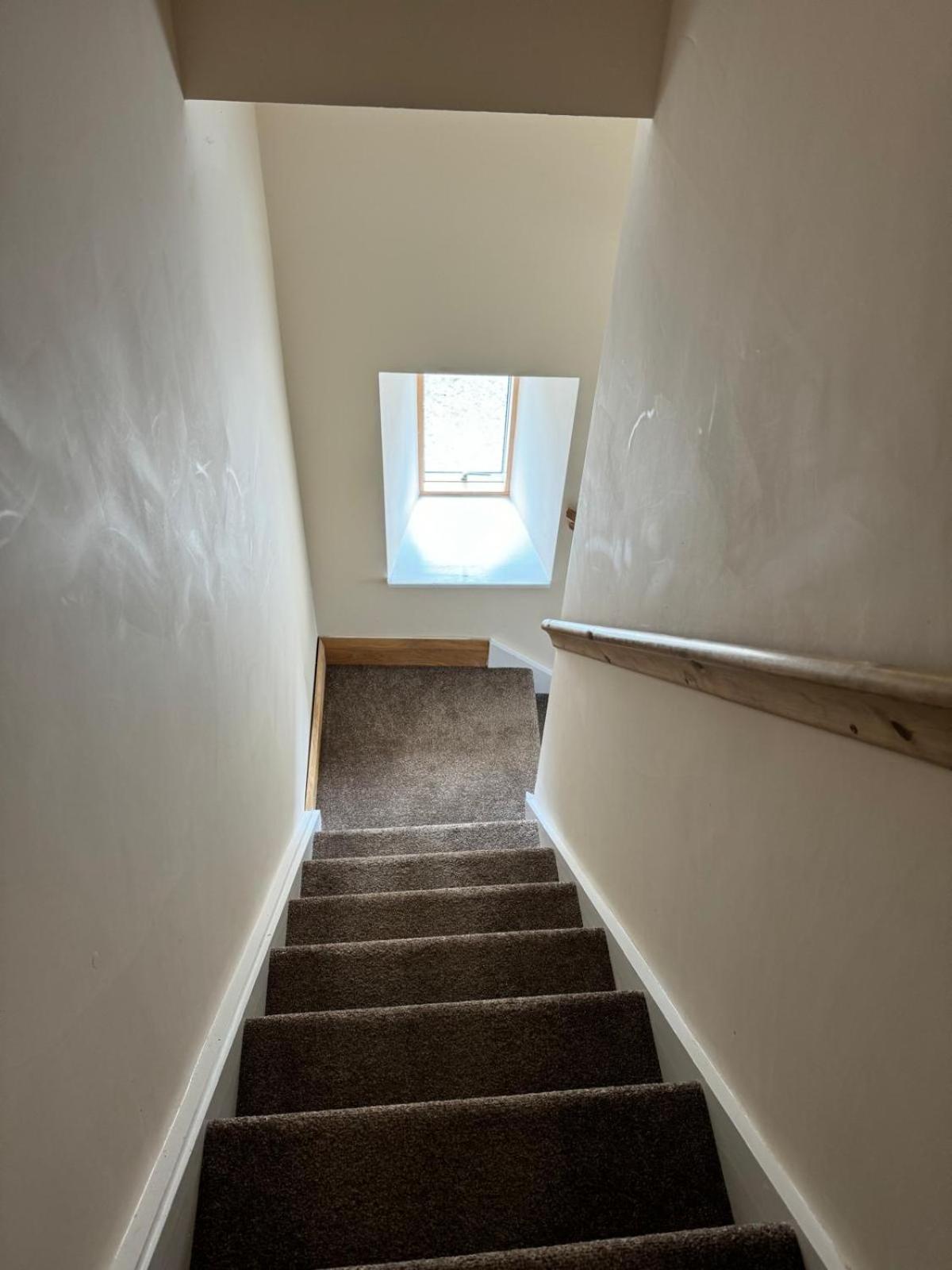 Dovecot