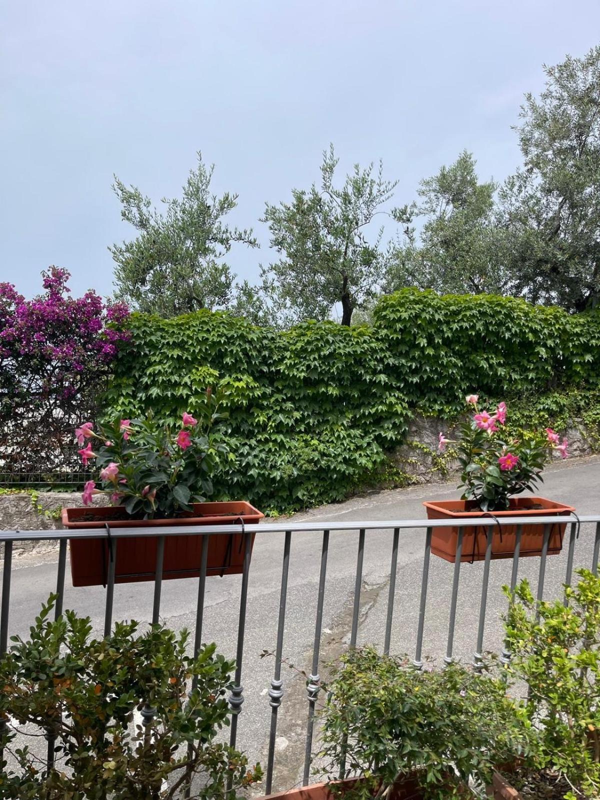 Villa Valentina Suite photo 5