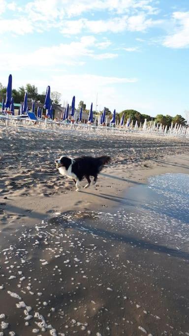 Villetta vicina alla spiaggia