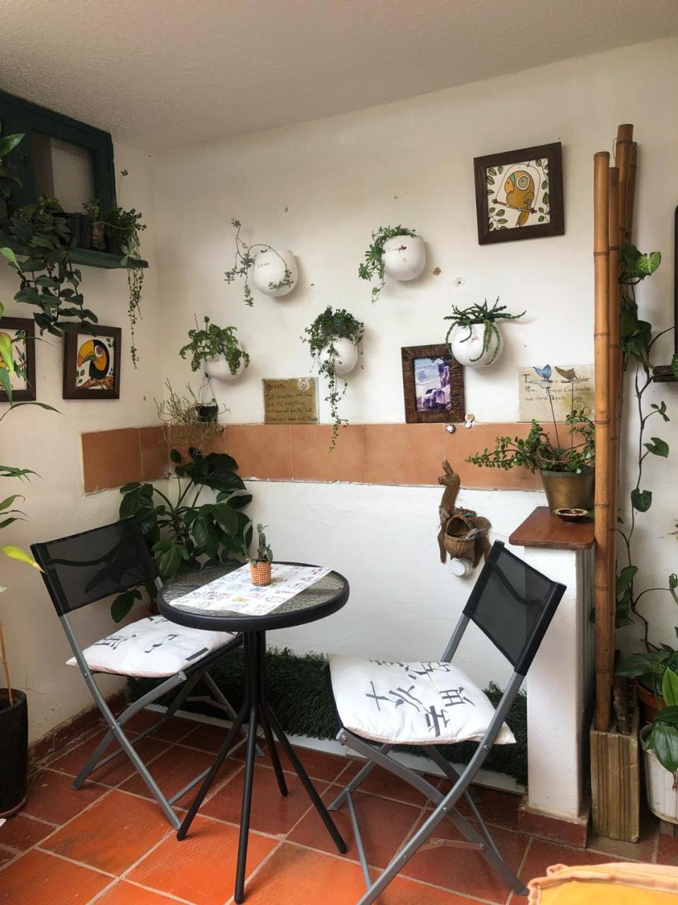 Casa Felipe Naturaleza Viva