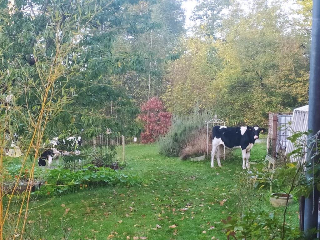 La Bruyere du Coq Stables