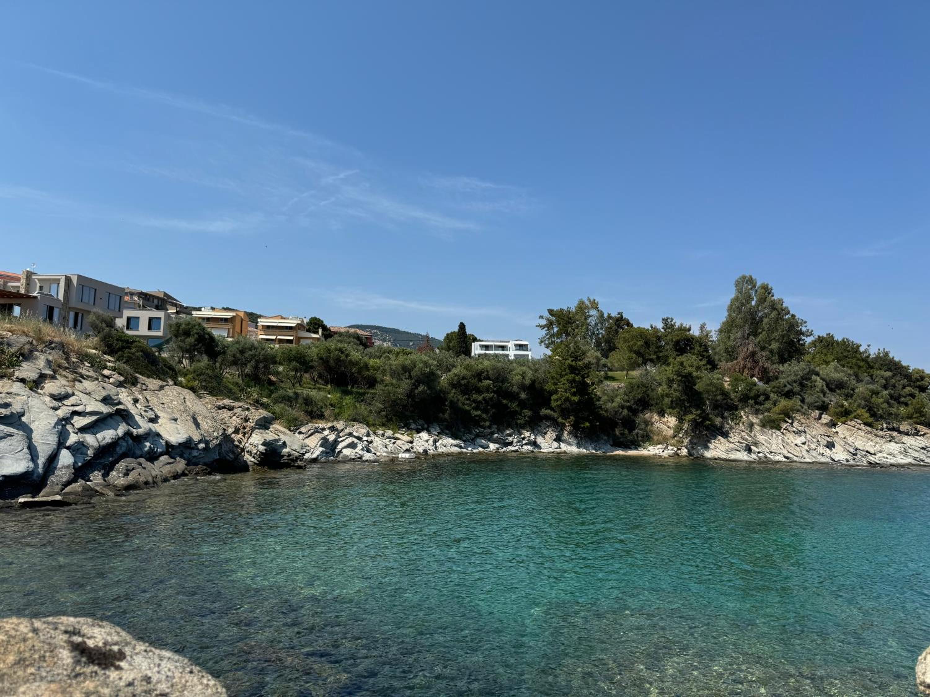 Acra Melia
