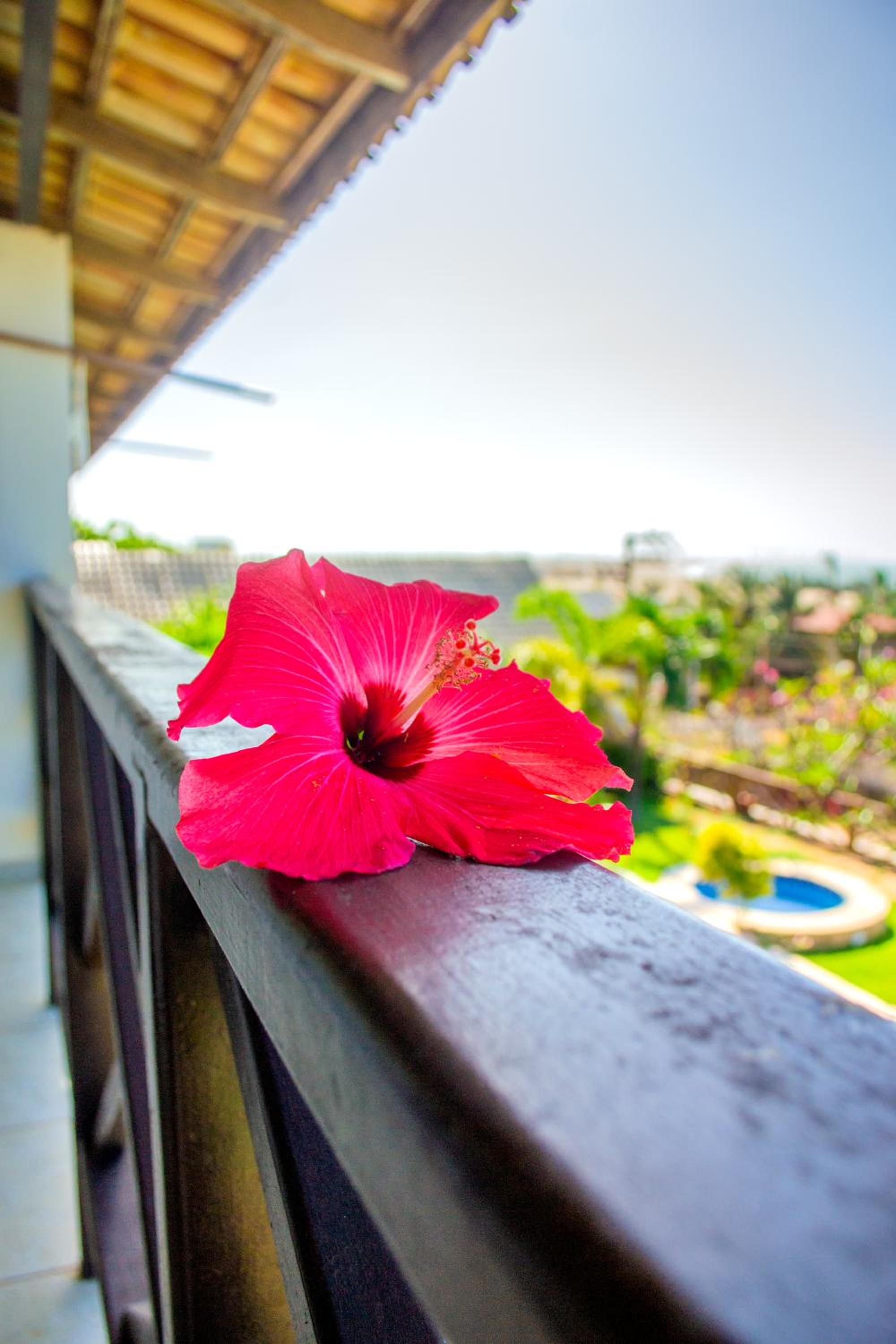 Hotel Milano Hotel Pousada Canoa Quebrada - Image 1