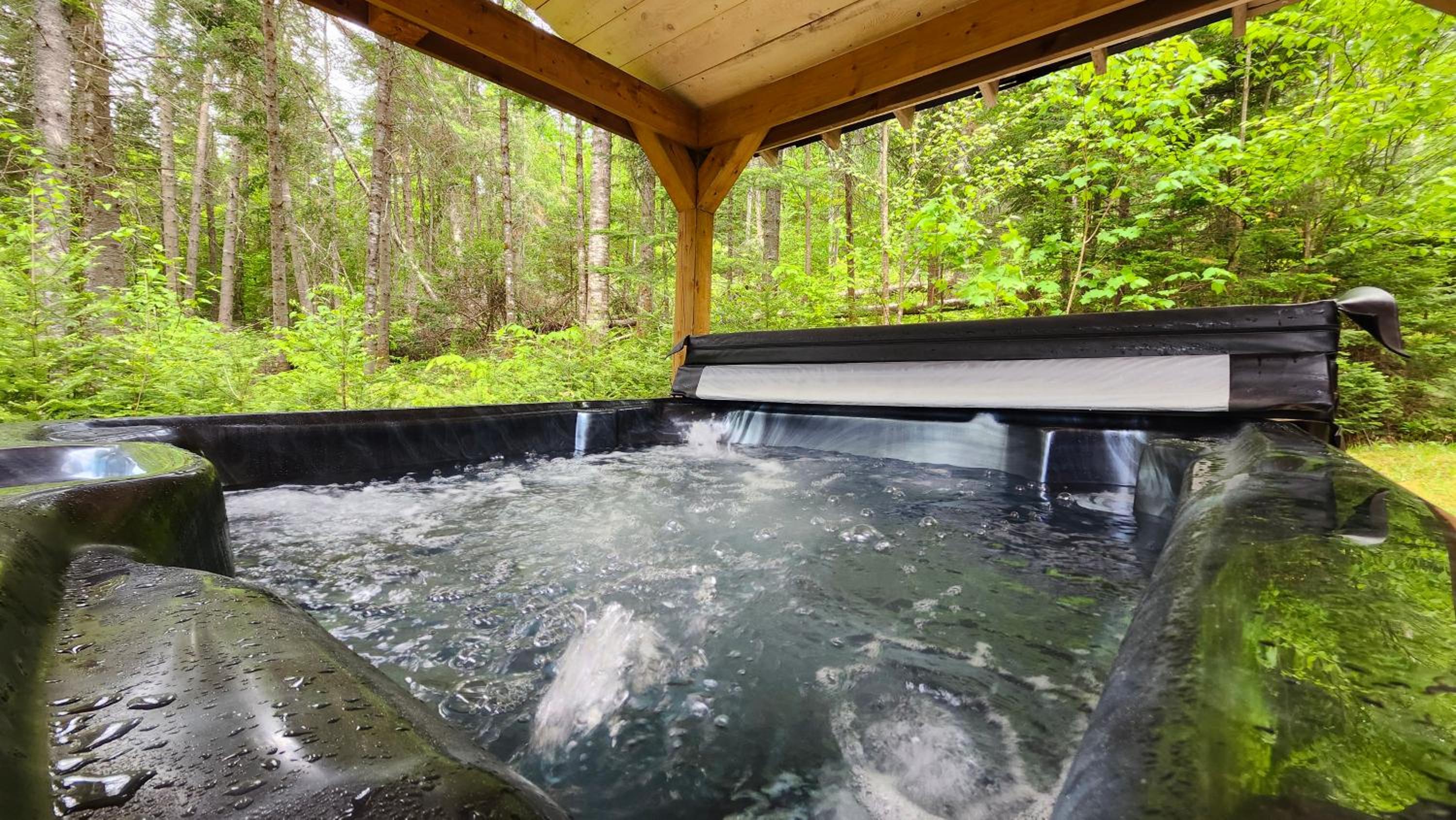 Chalet des Sources SPA Gazebo panoramique