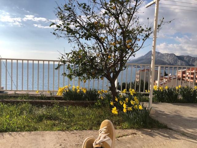 Maestral apartman