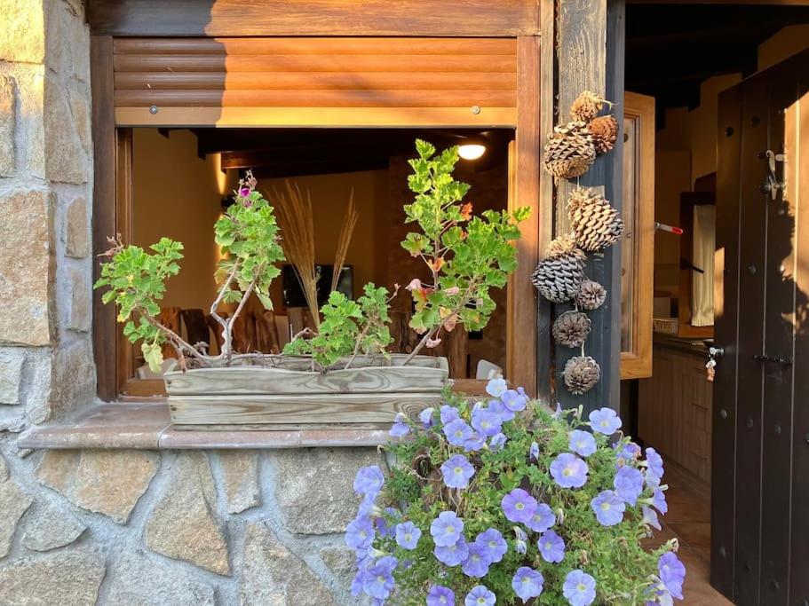 Casita Rural de Campo con Jardín Privado
