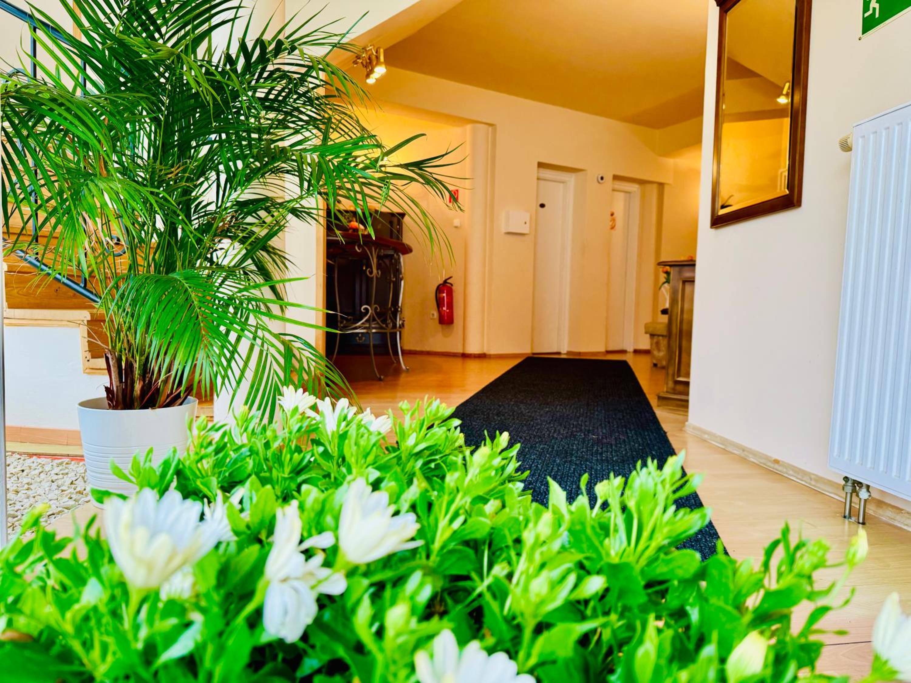 Cozy Garden Apartman