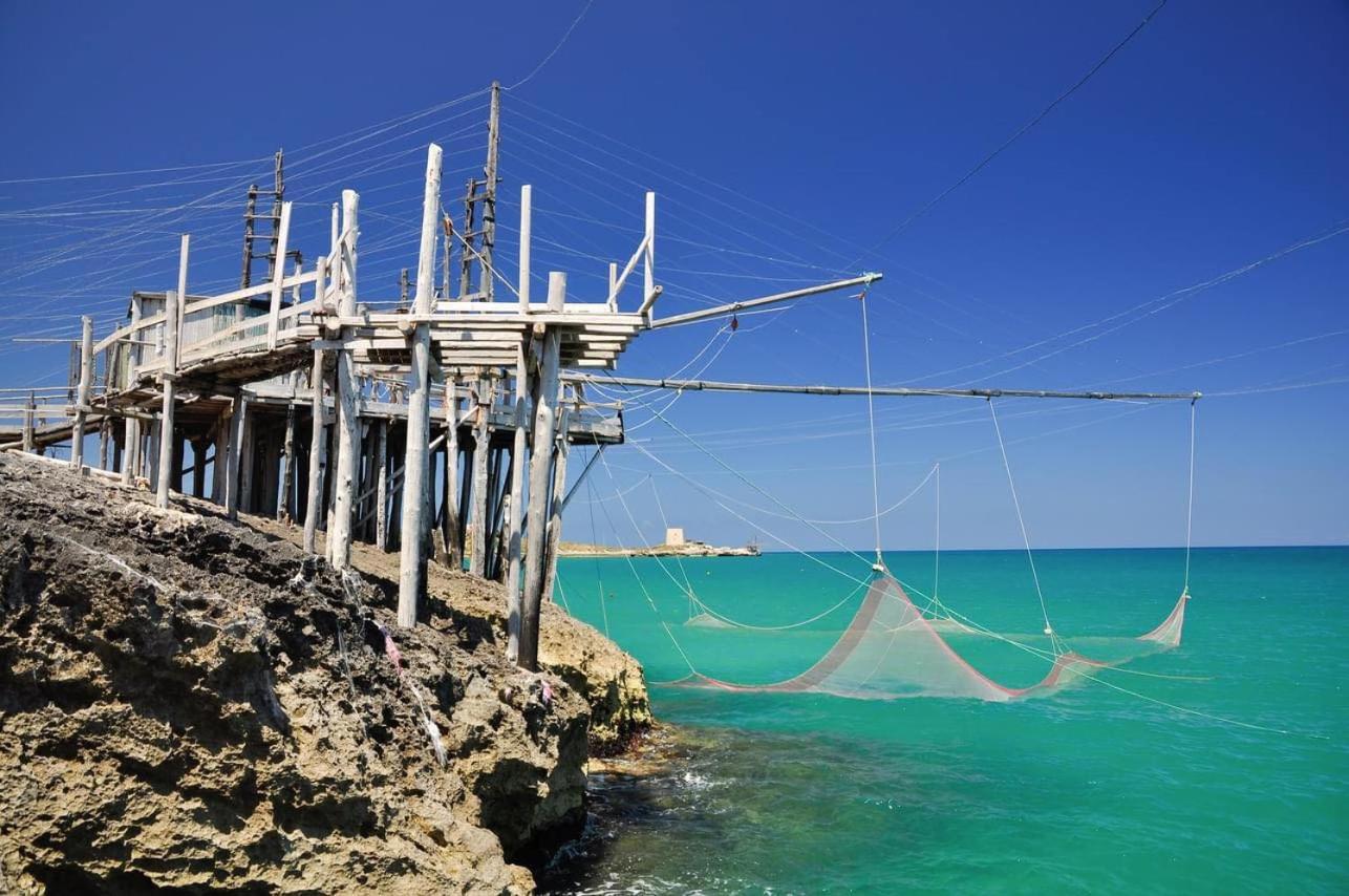 Photo 45
