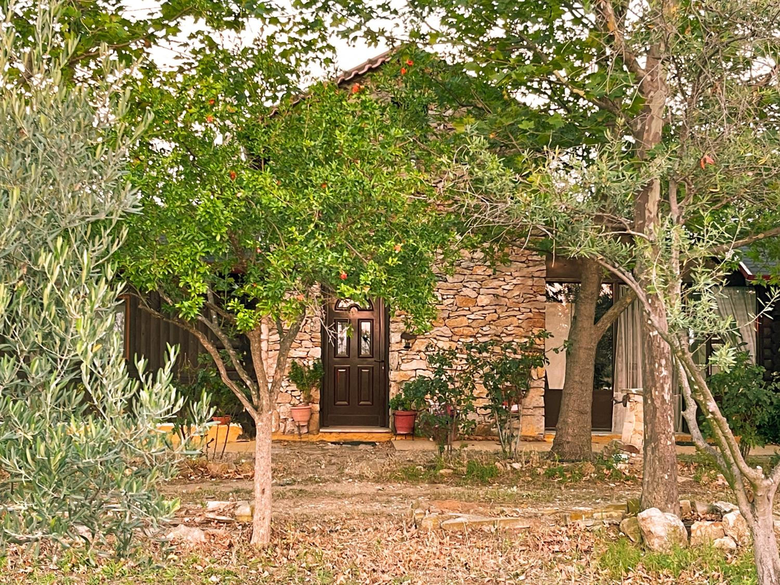 Photo 14