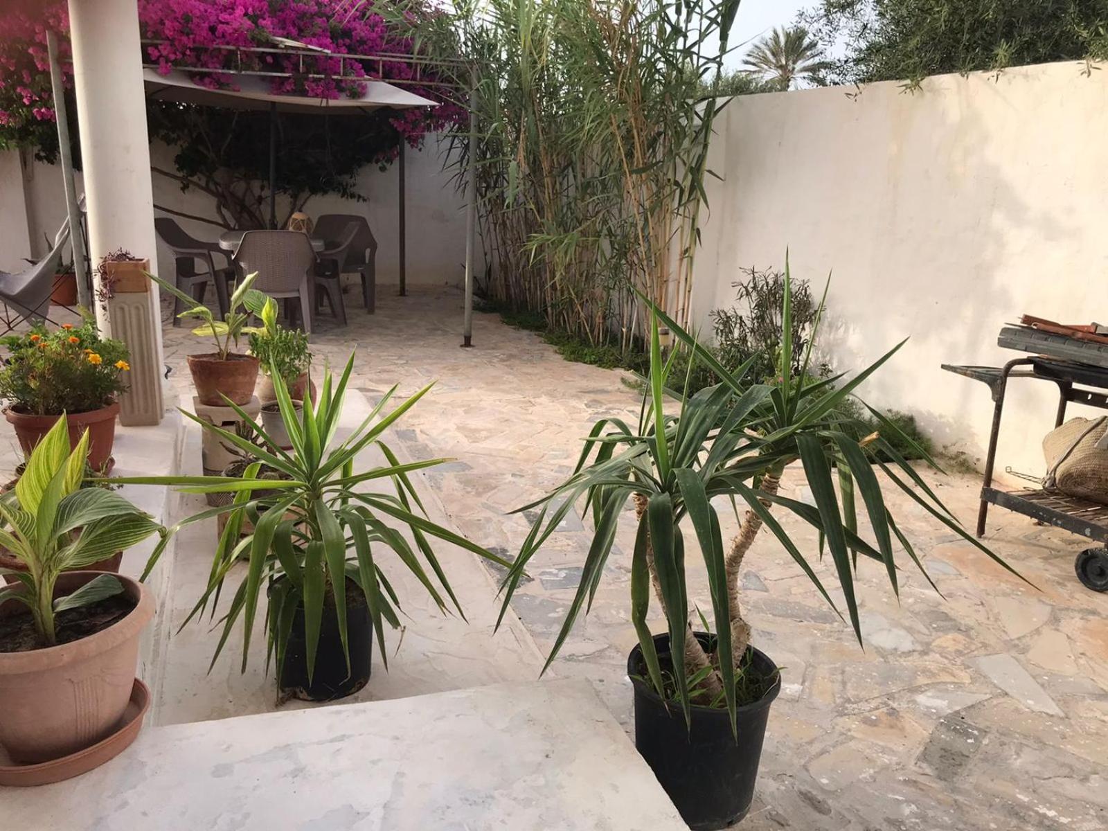 Midoun Vacations - Suite Sarra - Acces Independant - Property Image 5