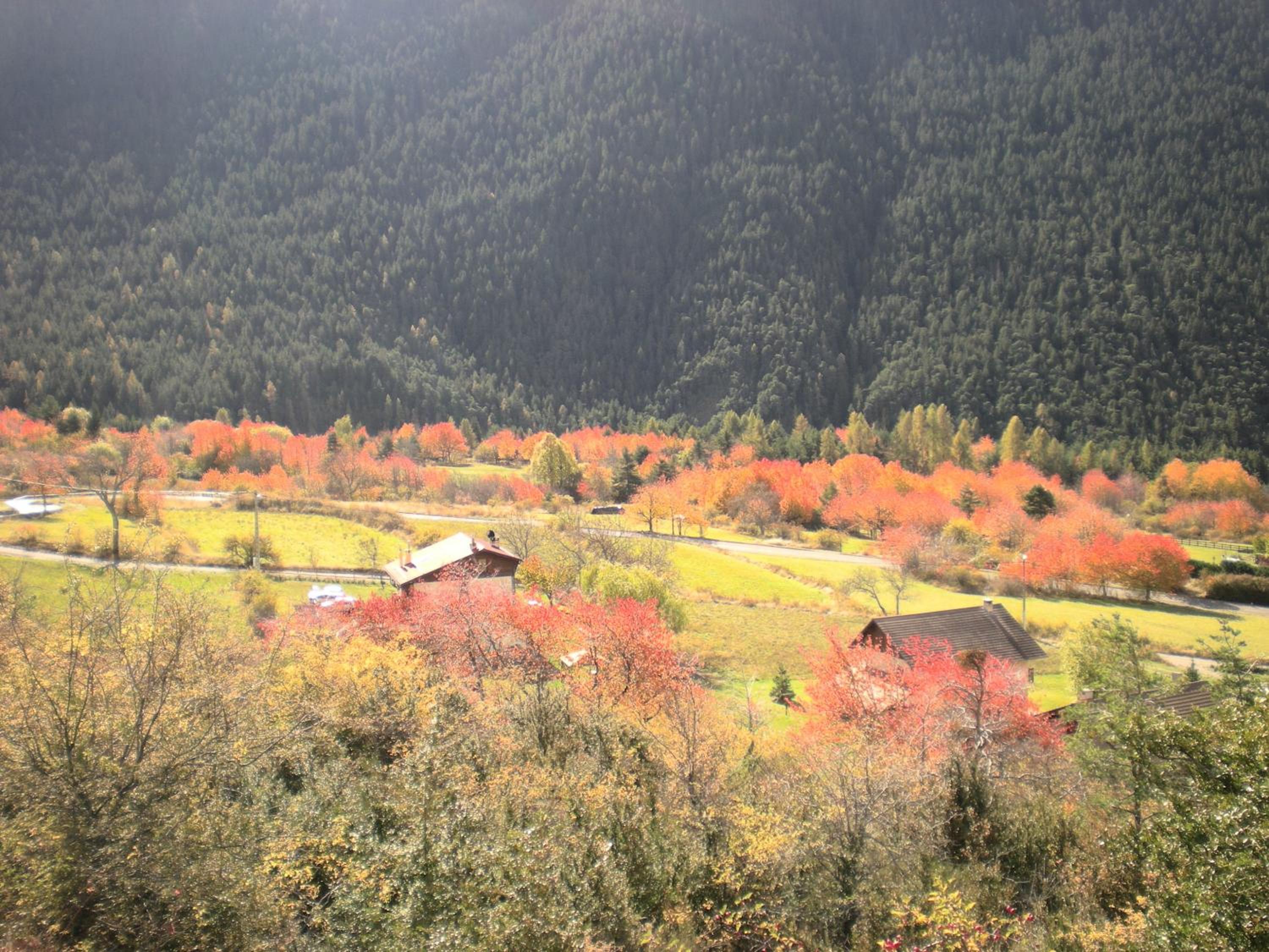 Chambres d'hôtes les Murès du Mercantour