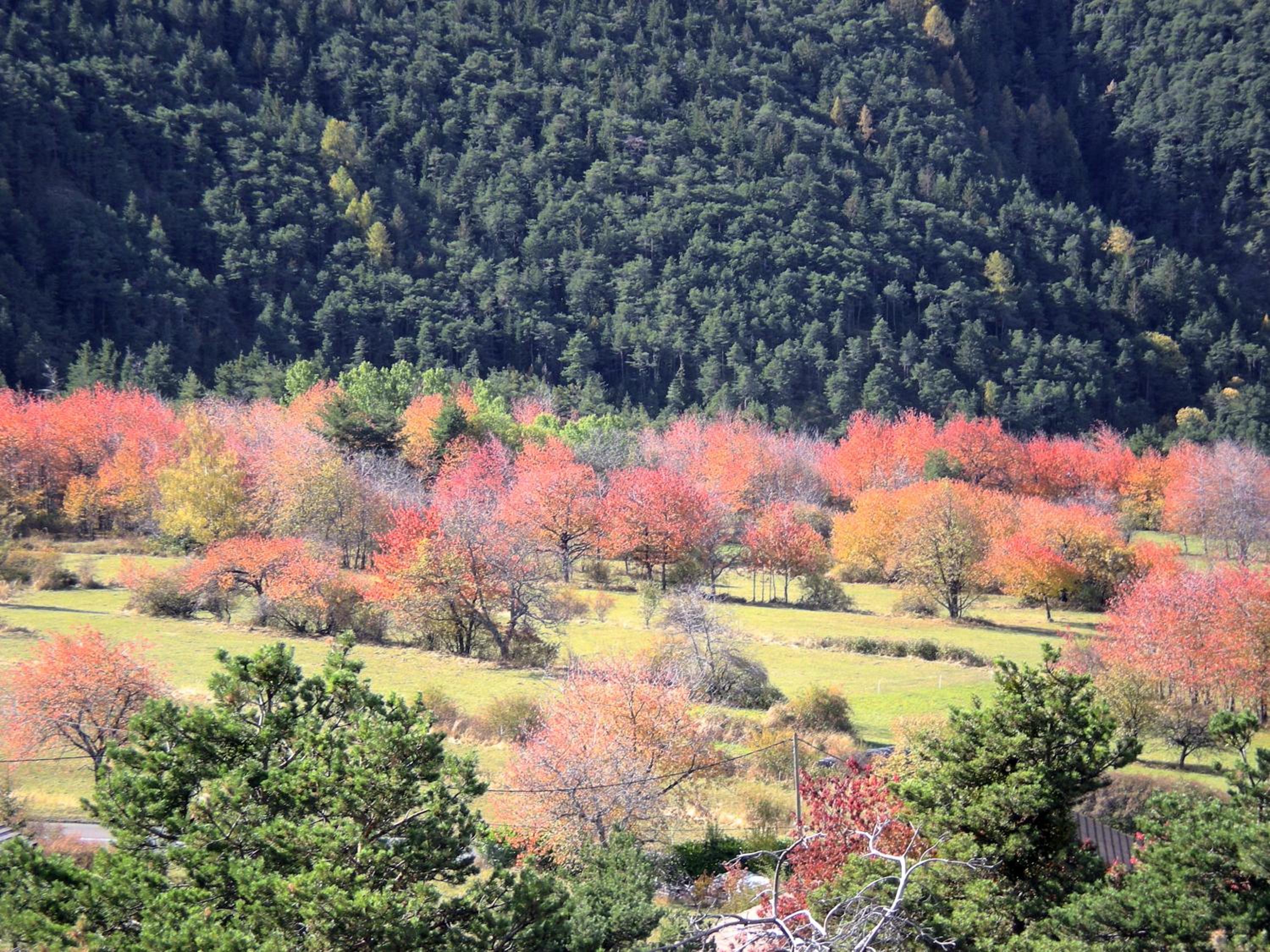 Chambres d'hôtes les Murès du Mercantour