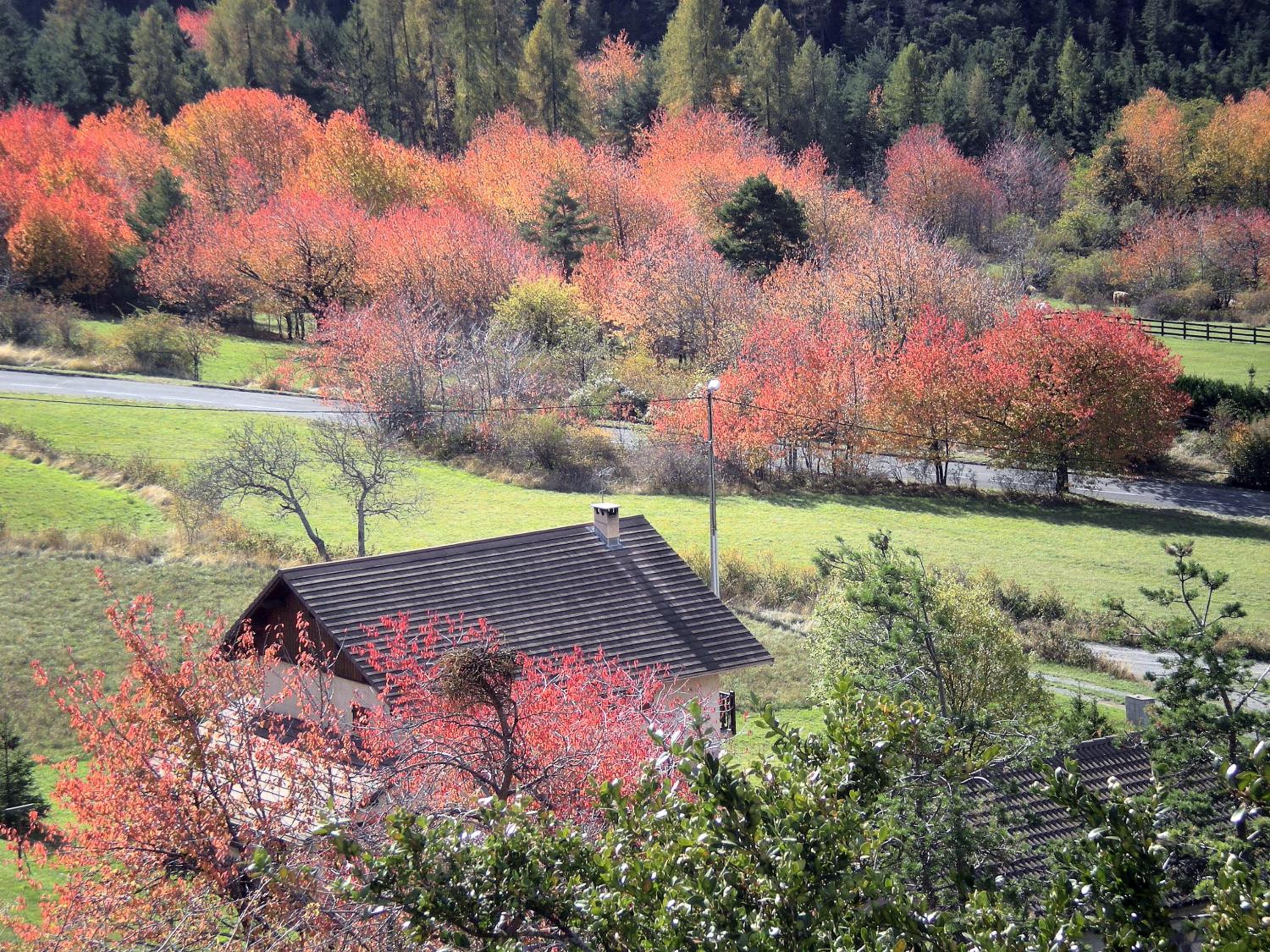 Chambres d'hôtes les Murès du Mercantour