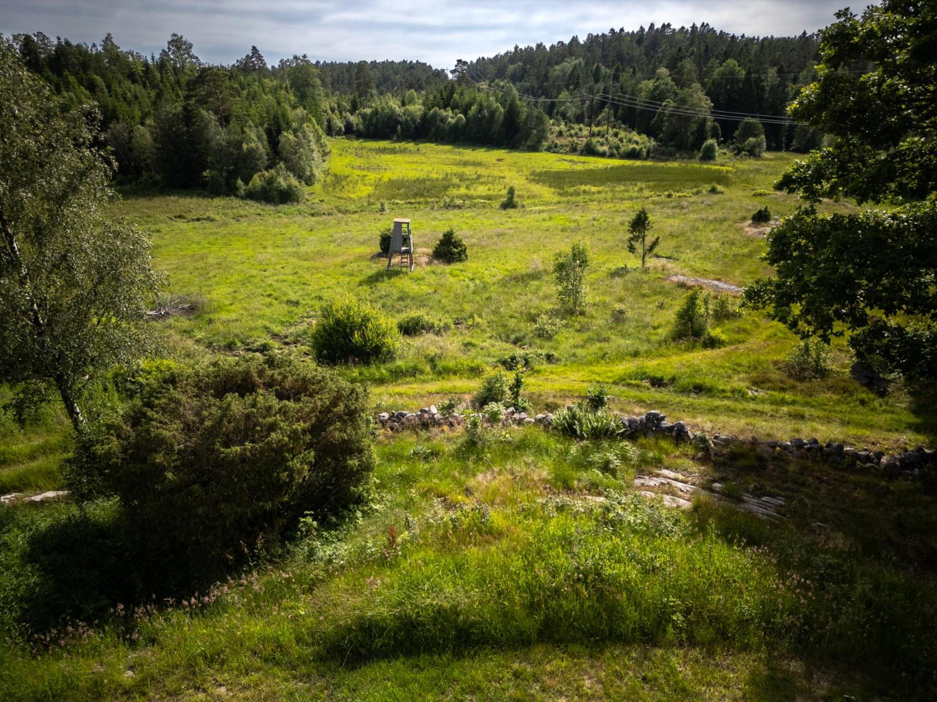 Wild Lodge