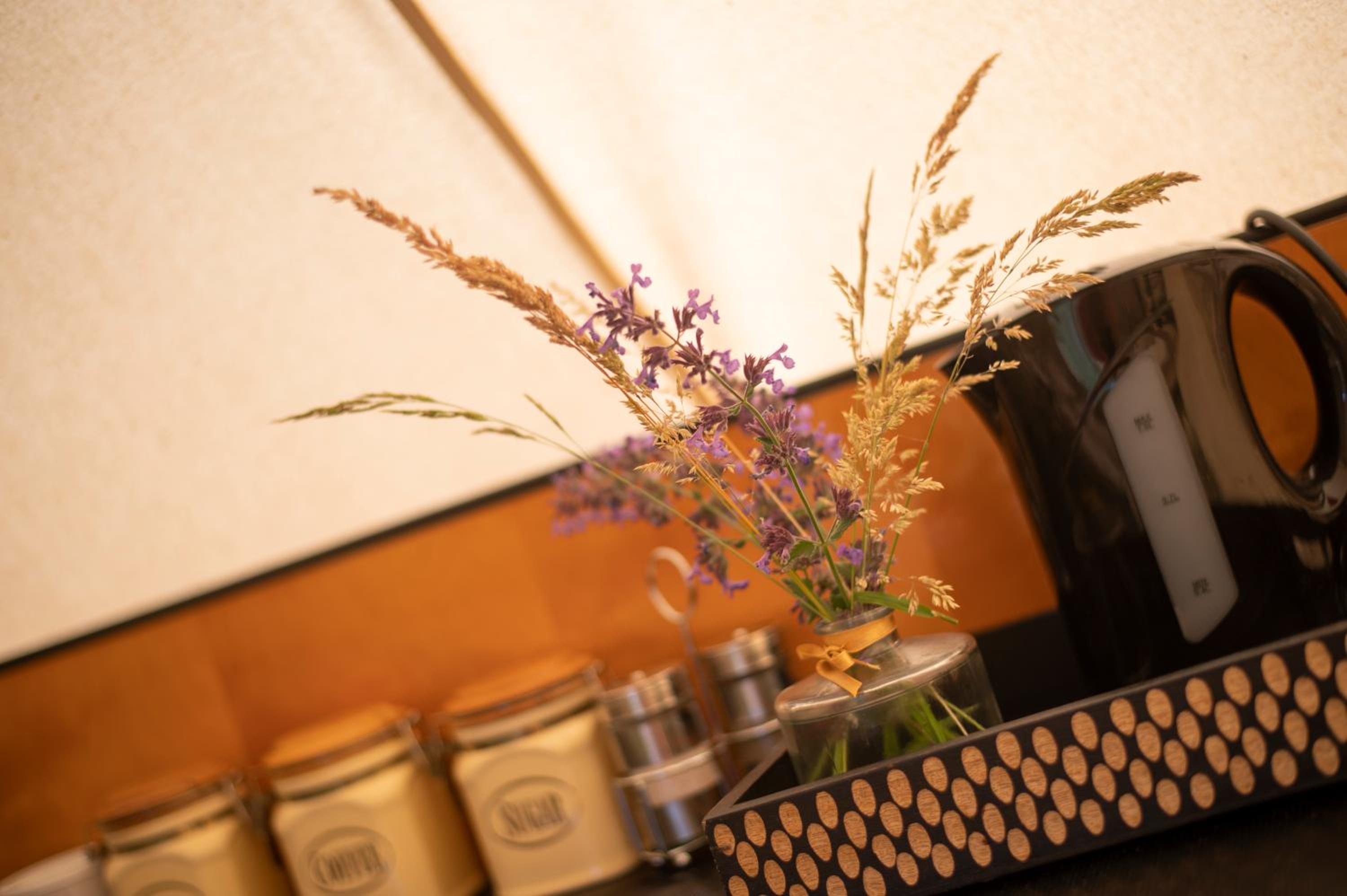 Glamping & Farm Zlaté Podlesí - Stan na louce