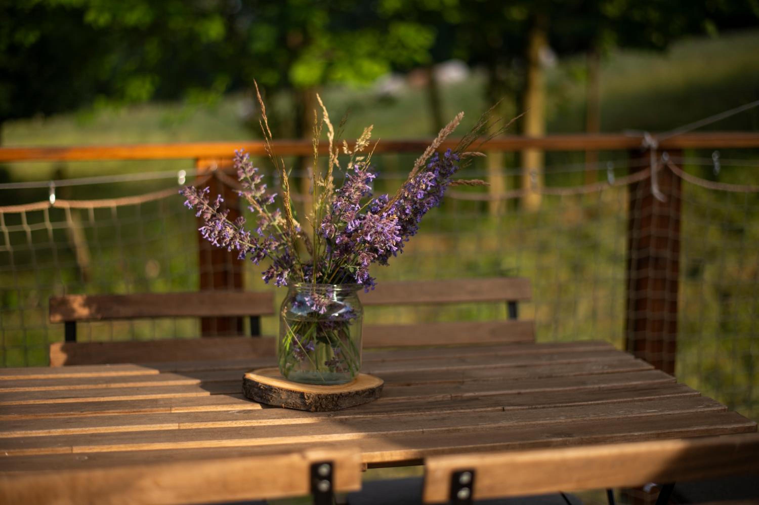 Glamping & Farm Zlaté Podlesí - Stan na louce