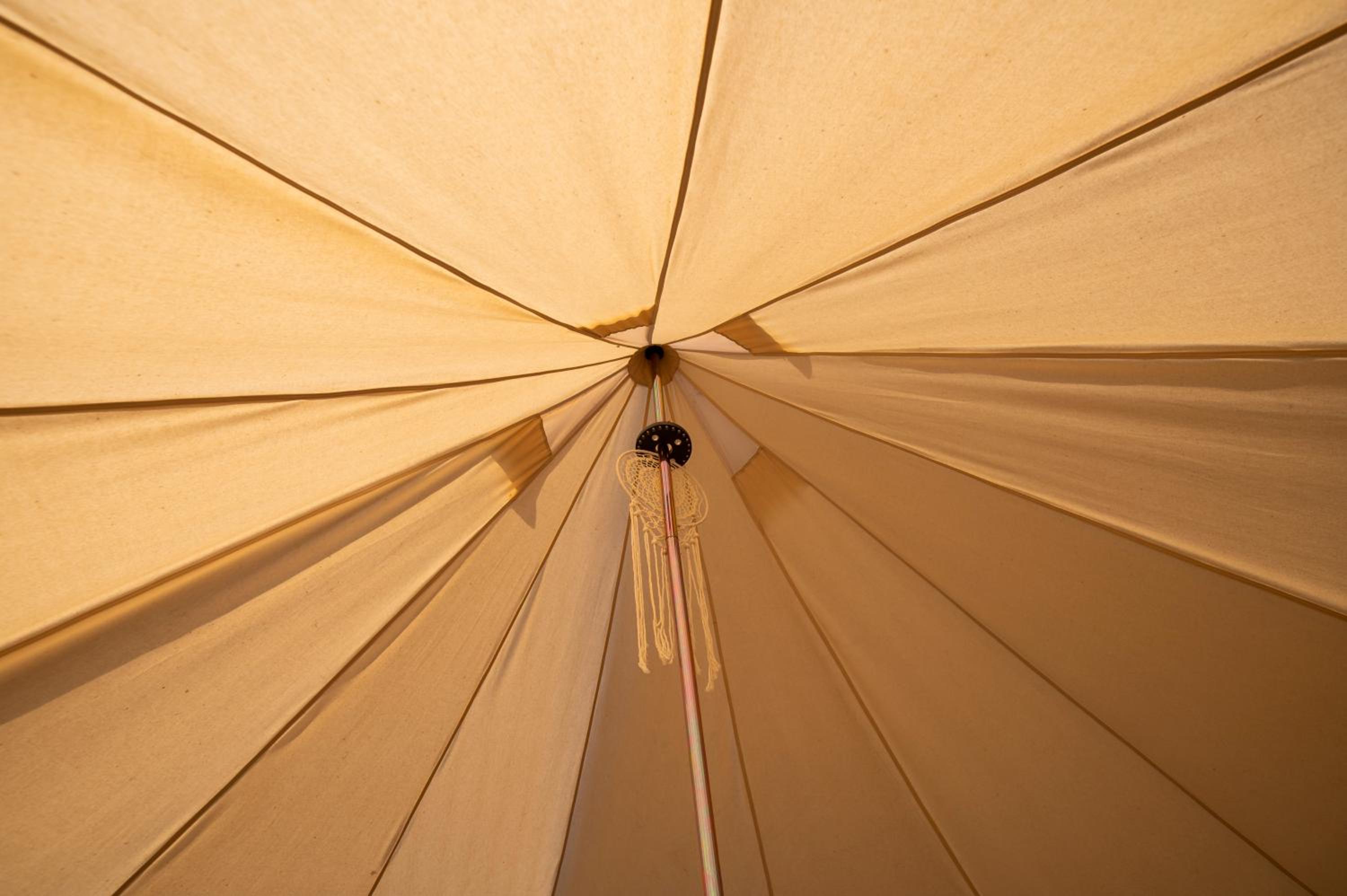 Glamping & Farm Zlaté Podlesí - Stan na louce