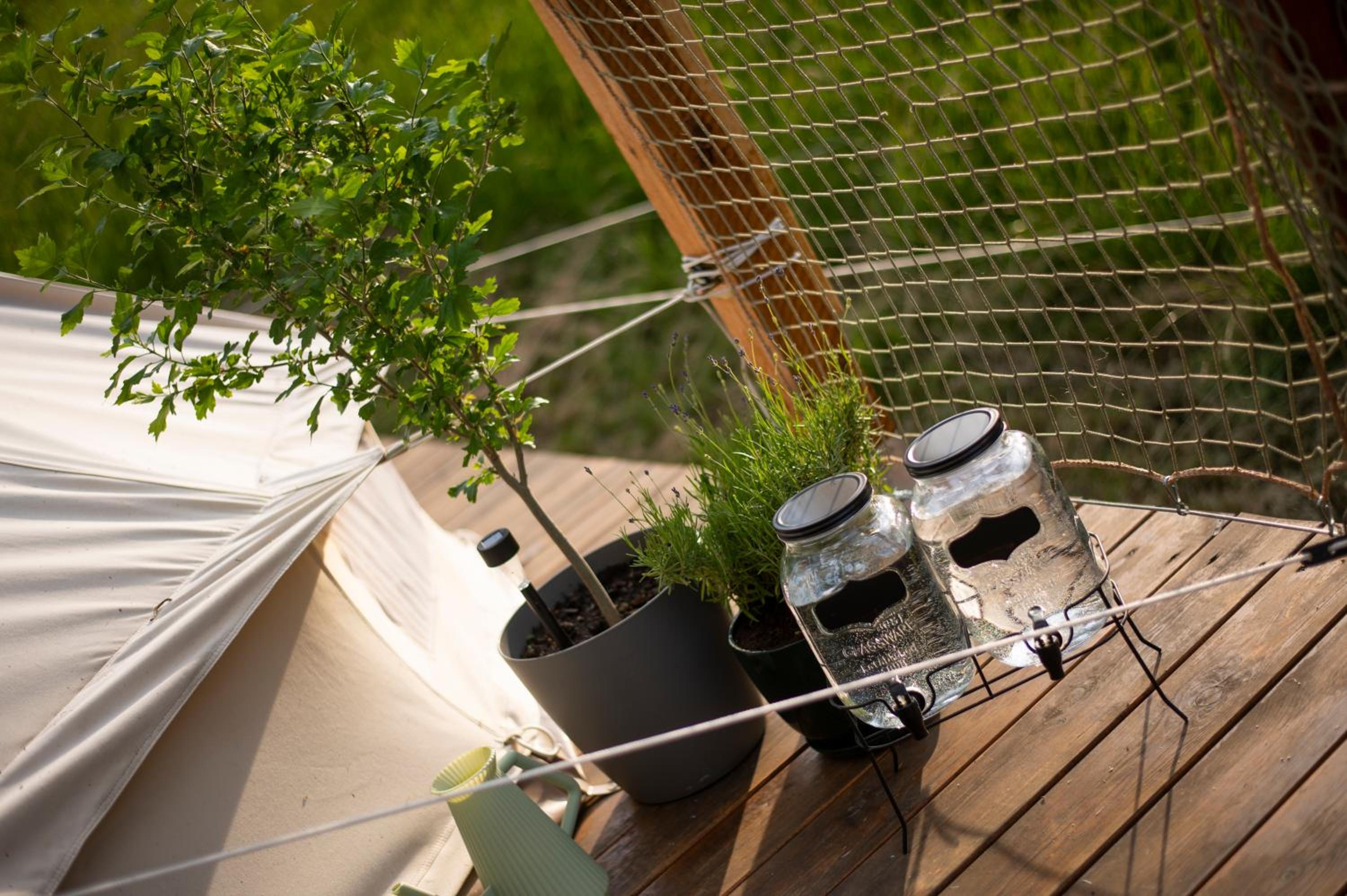 Glamping & Farm Zlaté Podlesí - Stan na louce