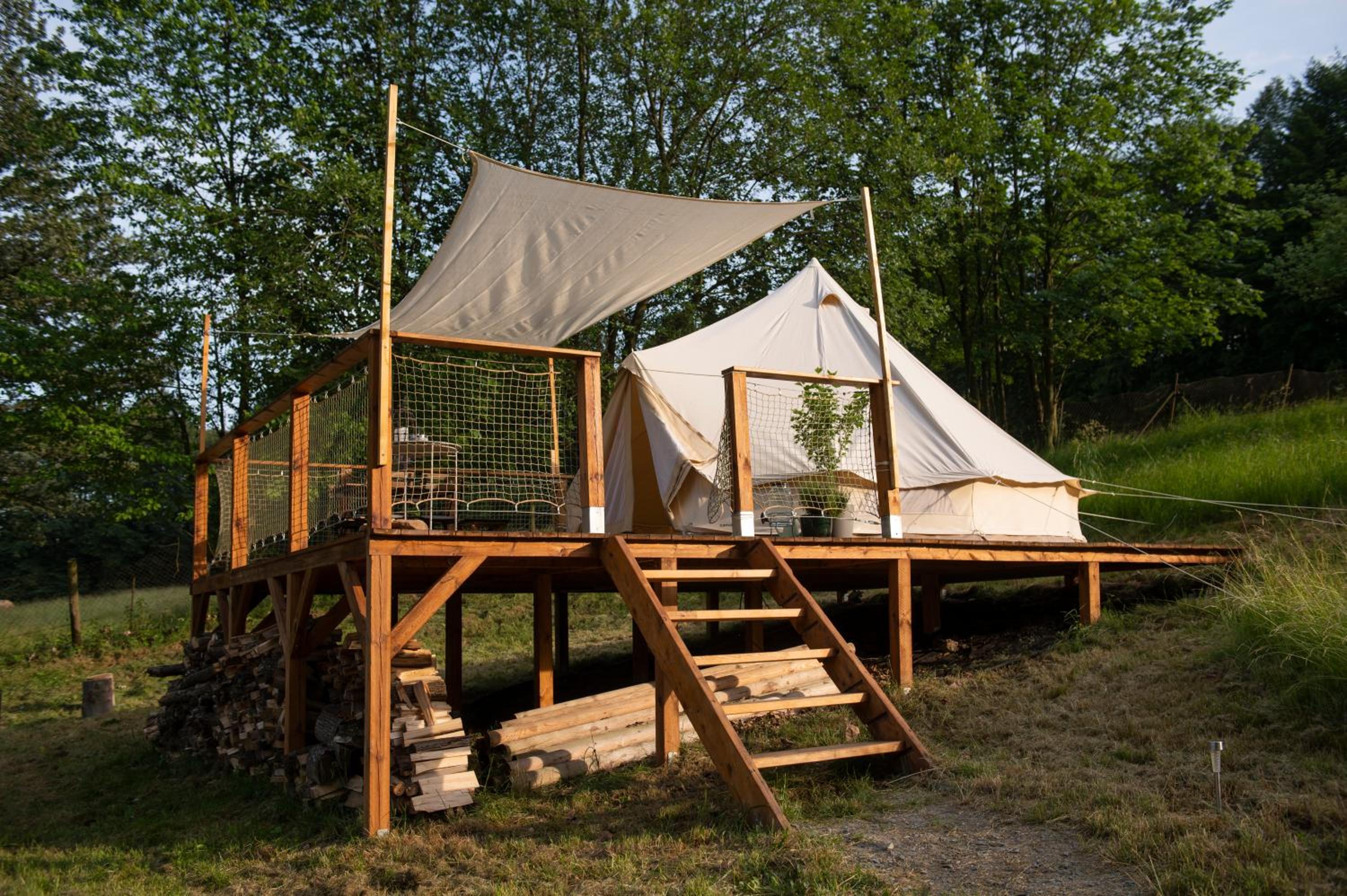 Glamping & Farm Zlaté Podlesí - Stan na louce