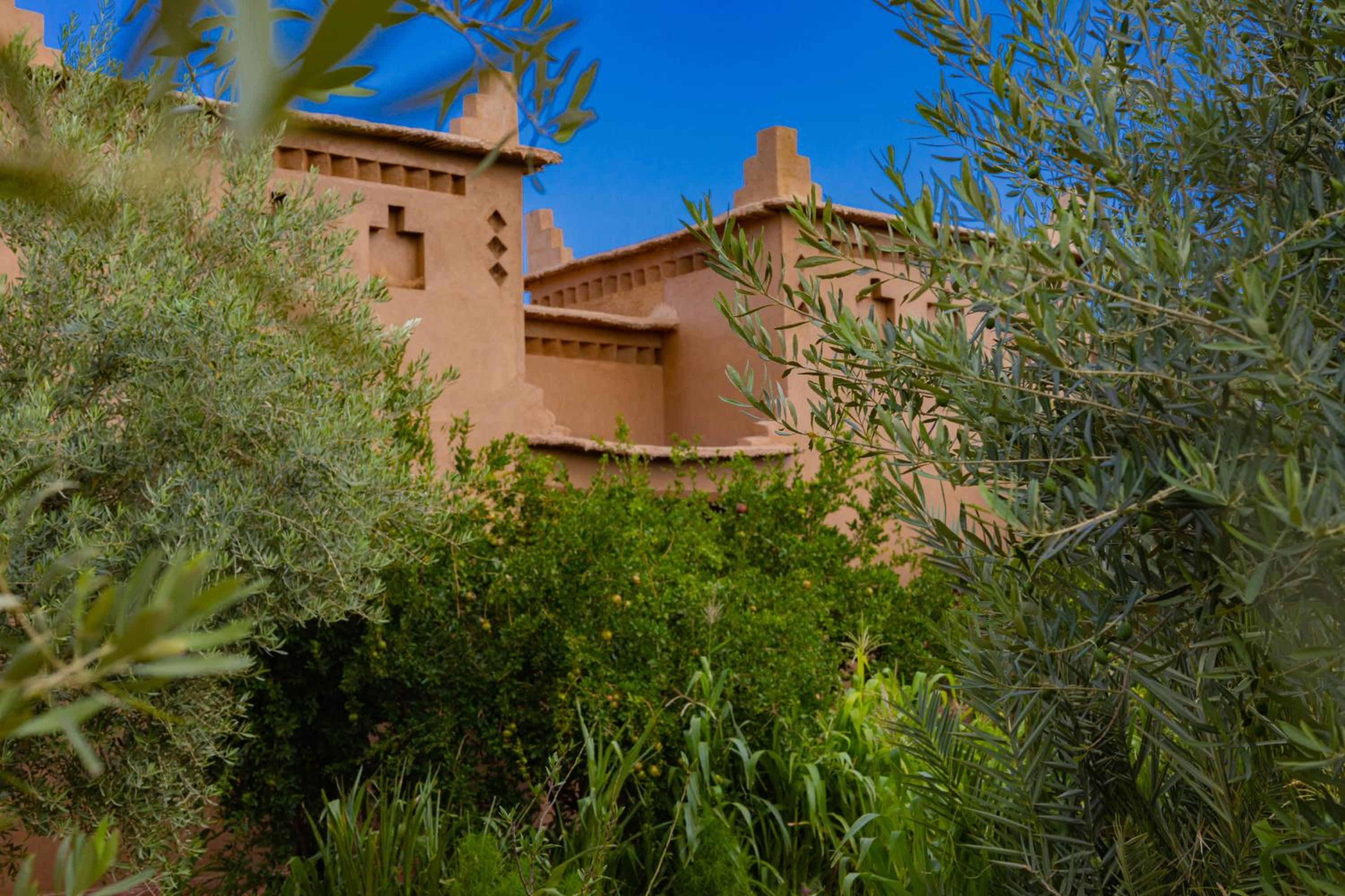 Maison D'hôte Amridil view 4