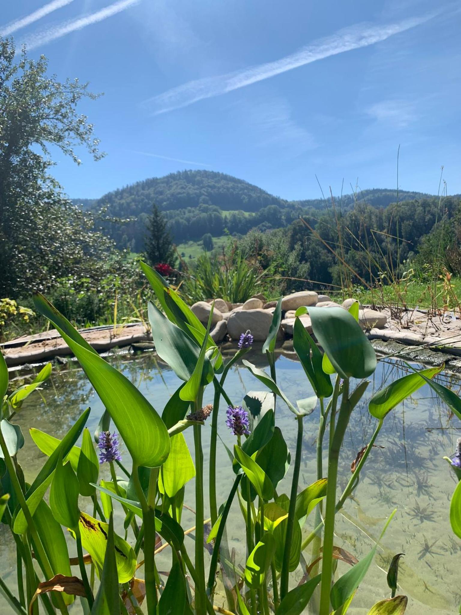 Chez Svanette B&B Villa Sonnglück