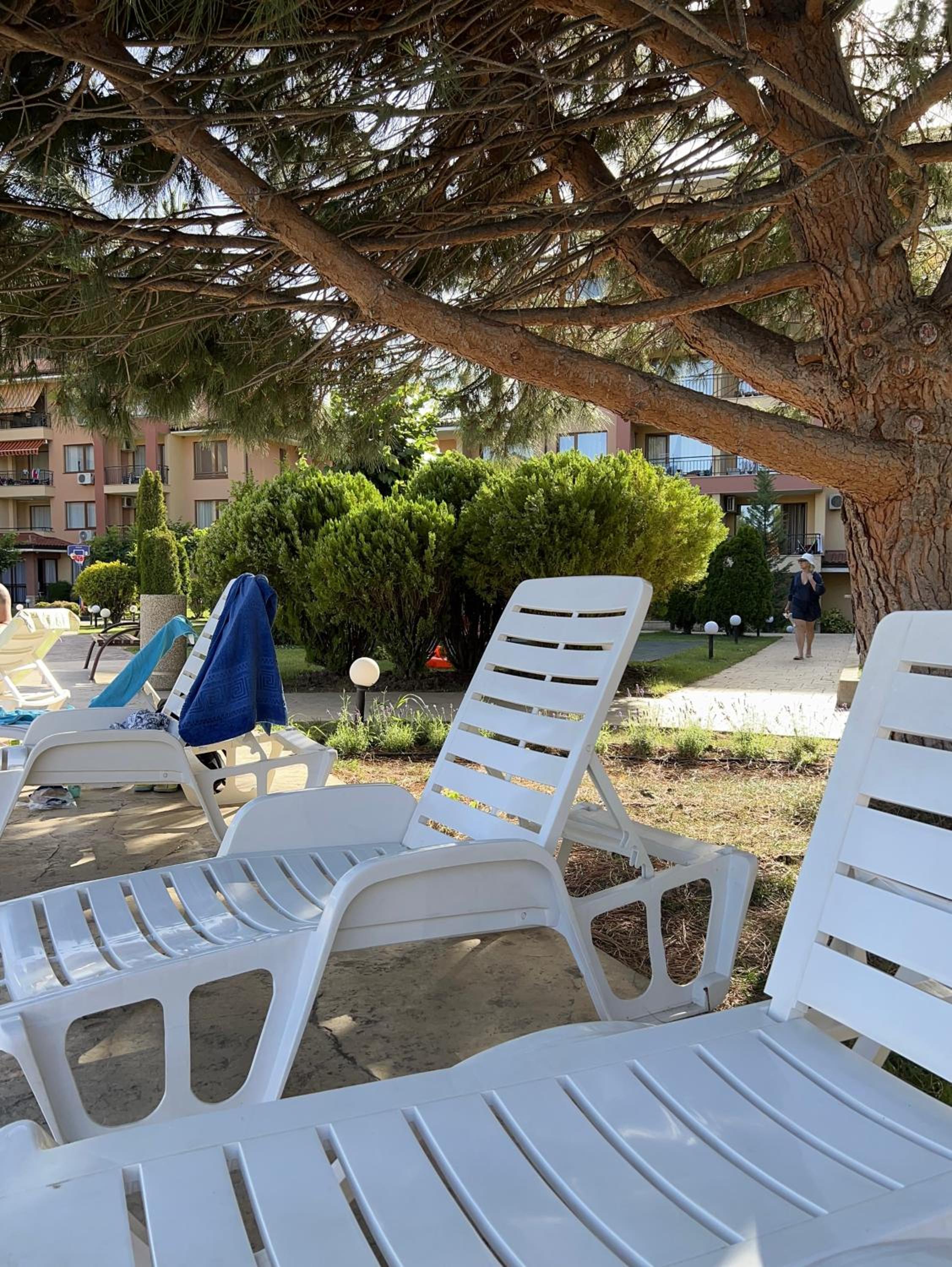 the magic dream, Sveti Vlas