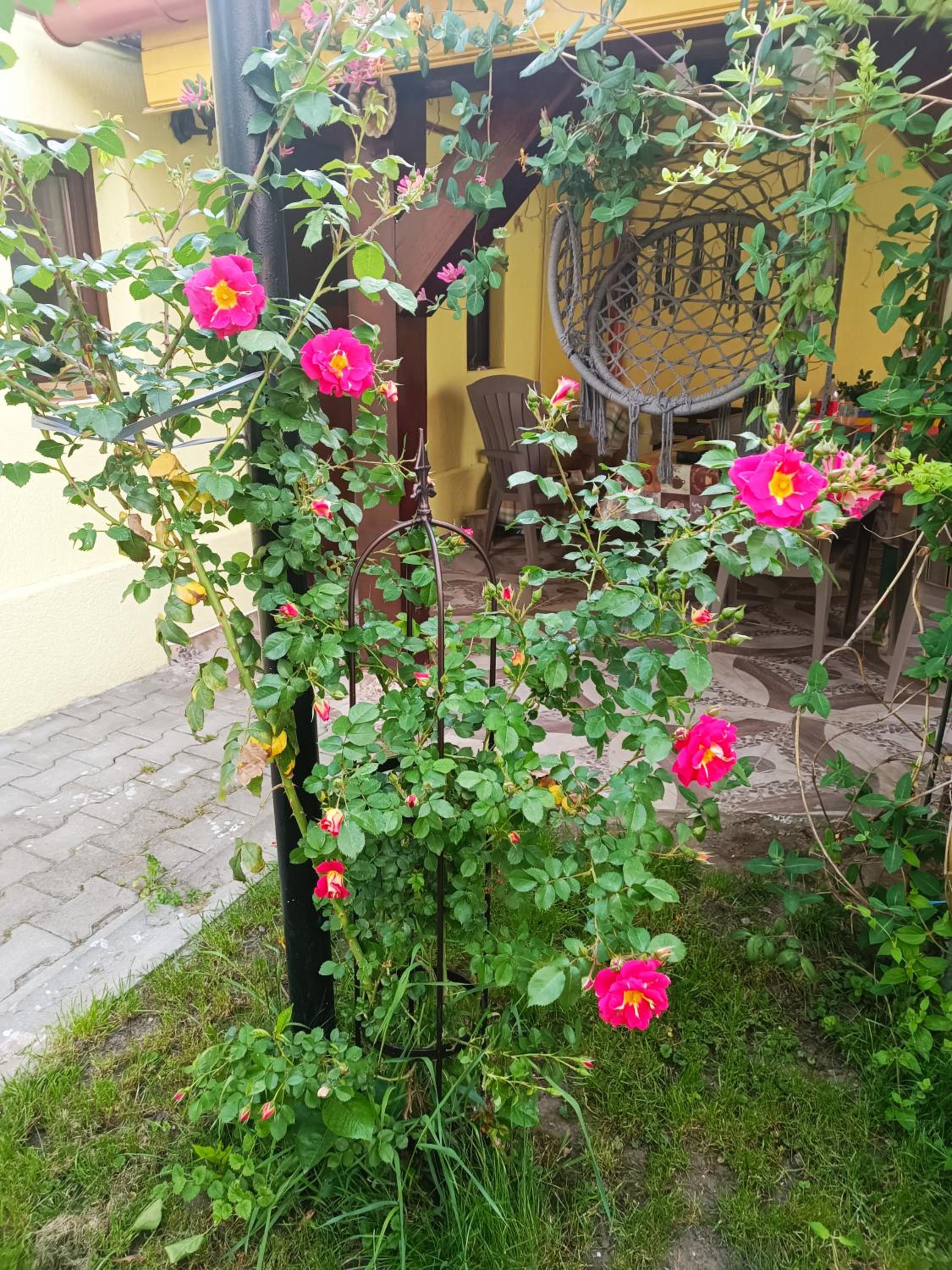 Casa Bunicilor