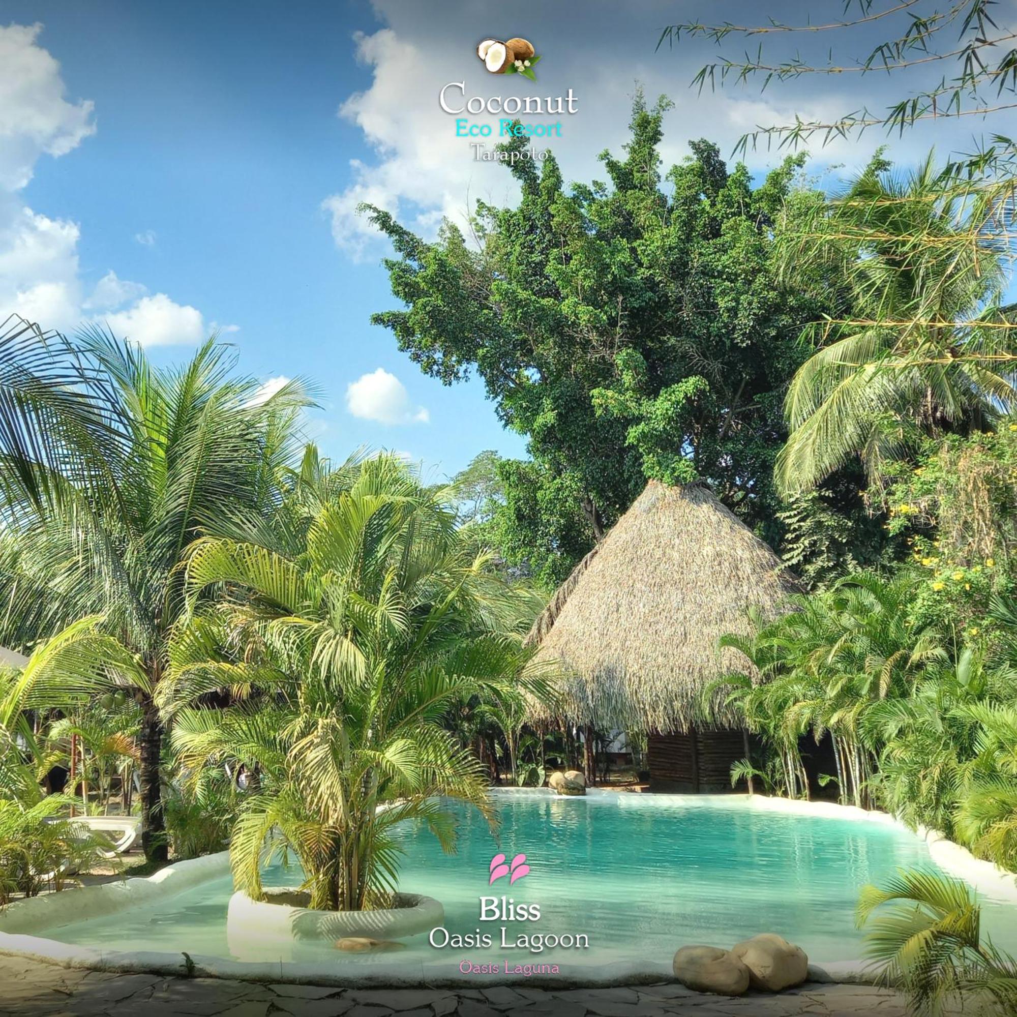COCONUT TARAPOTO - ECO RESORT