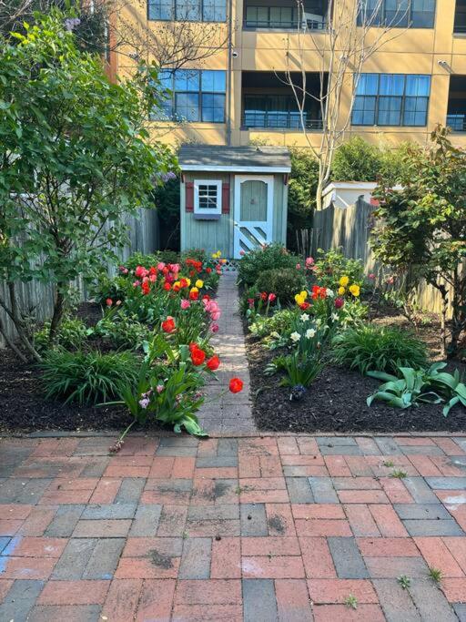 Charming Annapolis Townhome view 4
