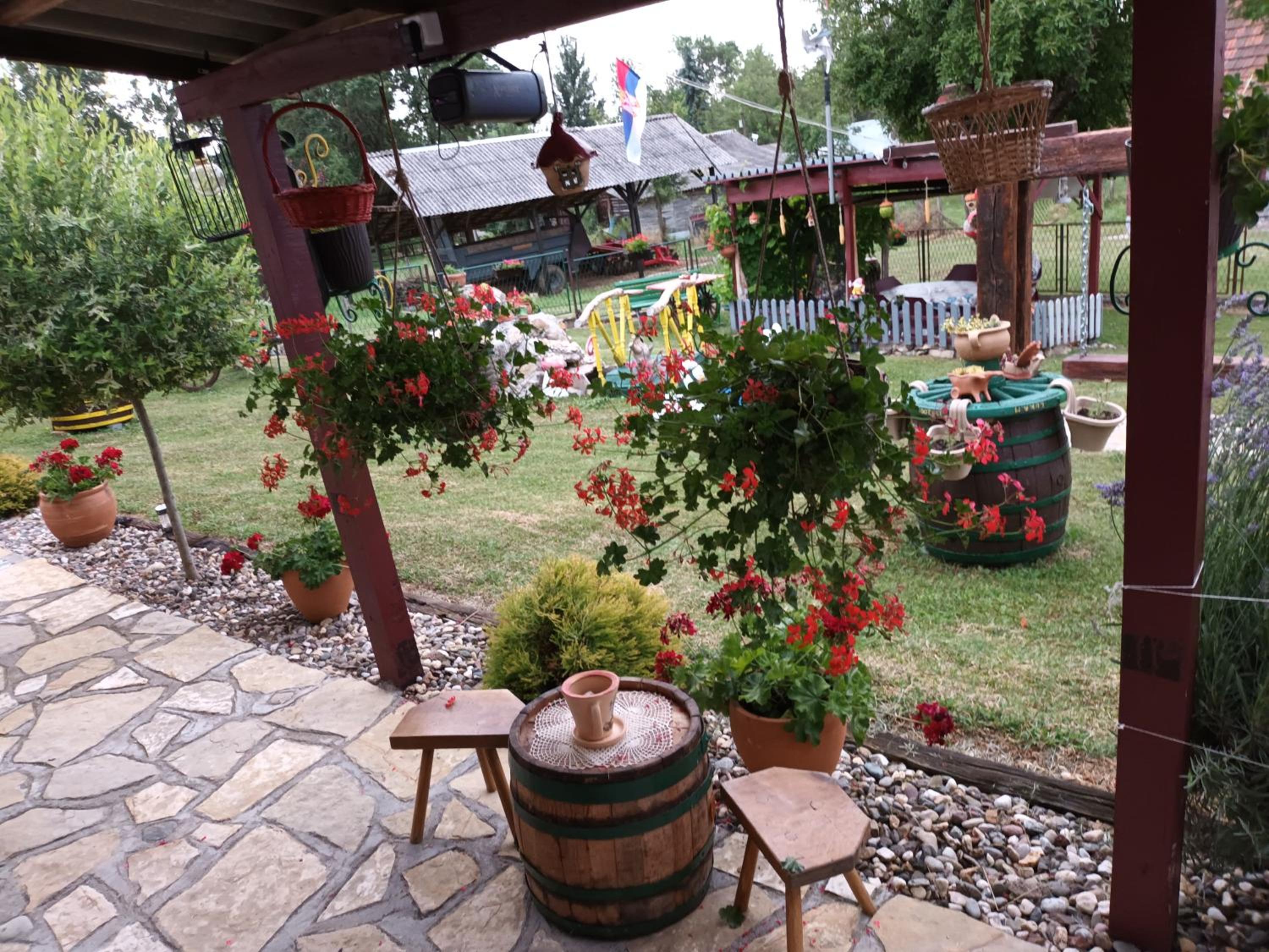 Photo 8
