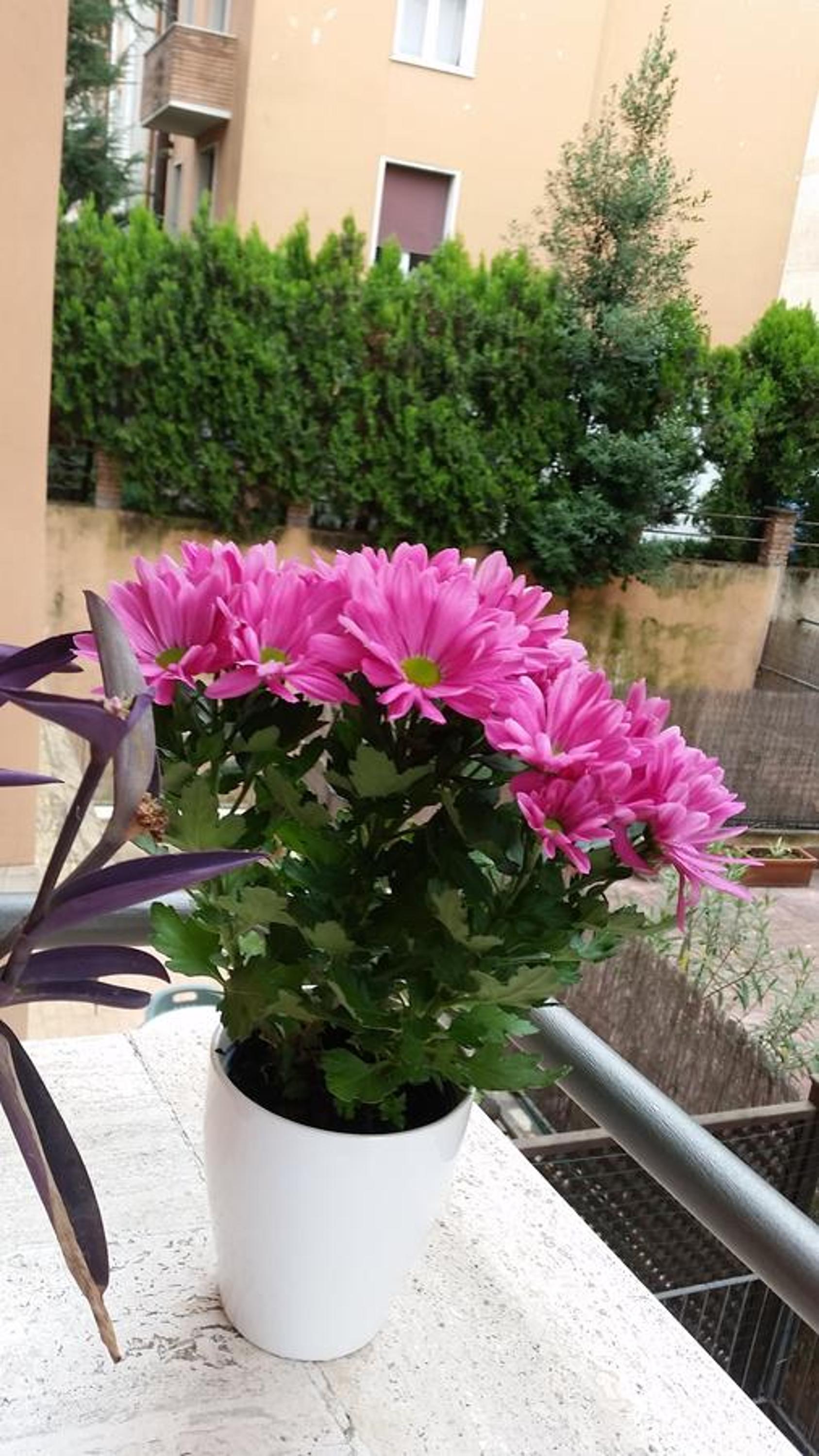 Holiday Home Roma