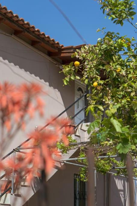 Cozy loft Big balcony all comfort Near Sarandë photo 5