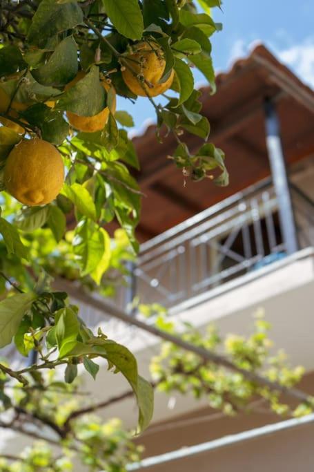 Cozy loft Big balcony all comfort Near Sarandë