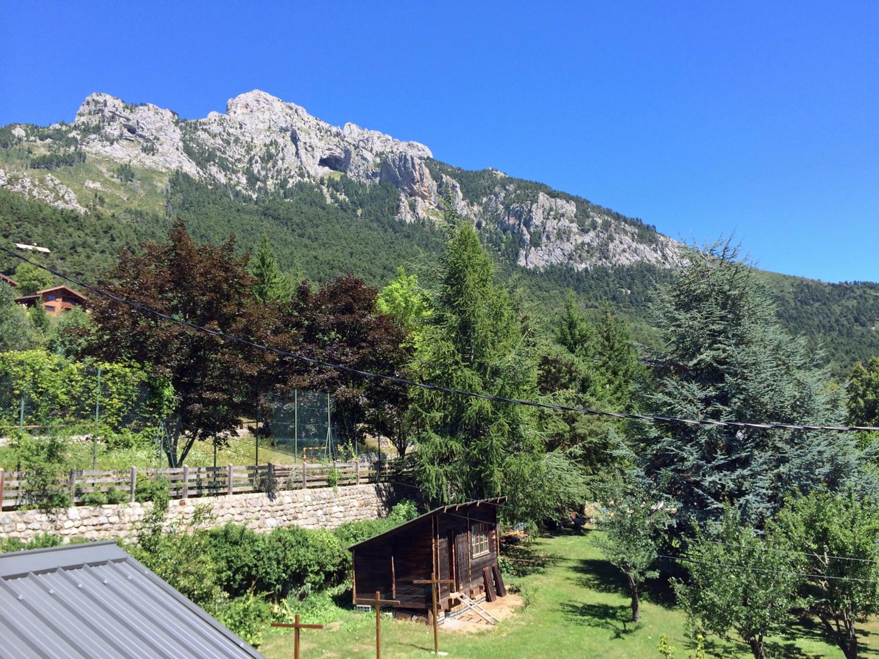 Photo 41