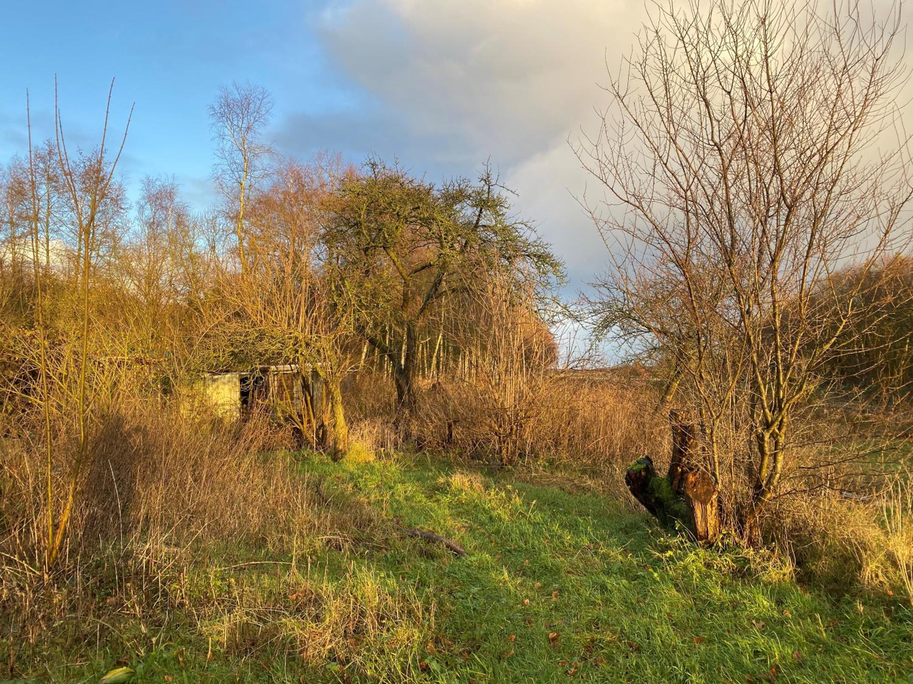 Ferien im Brookmerland