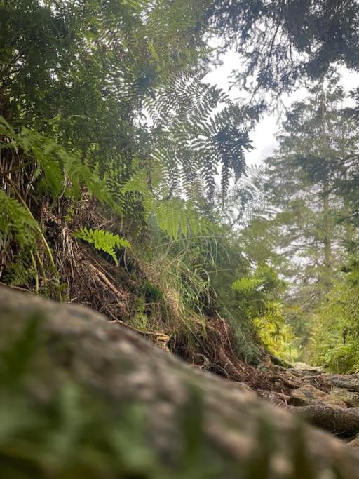 Kleine Freiheit