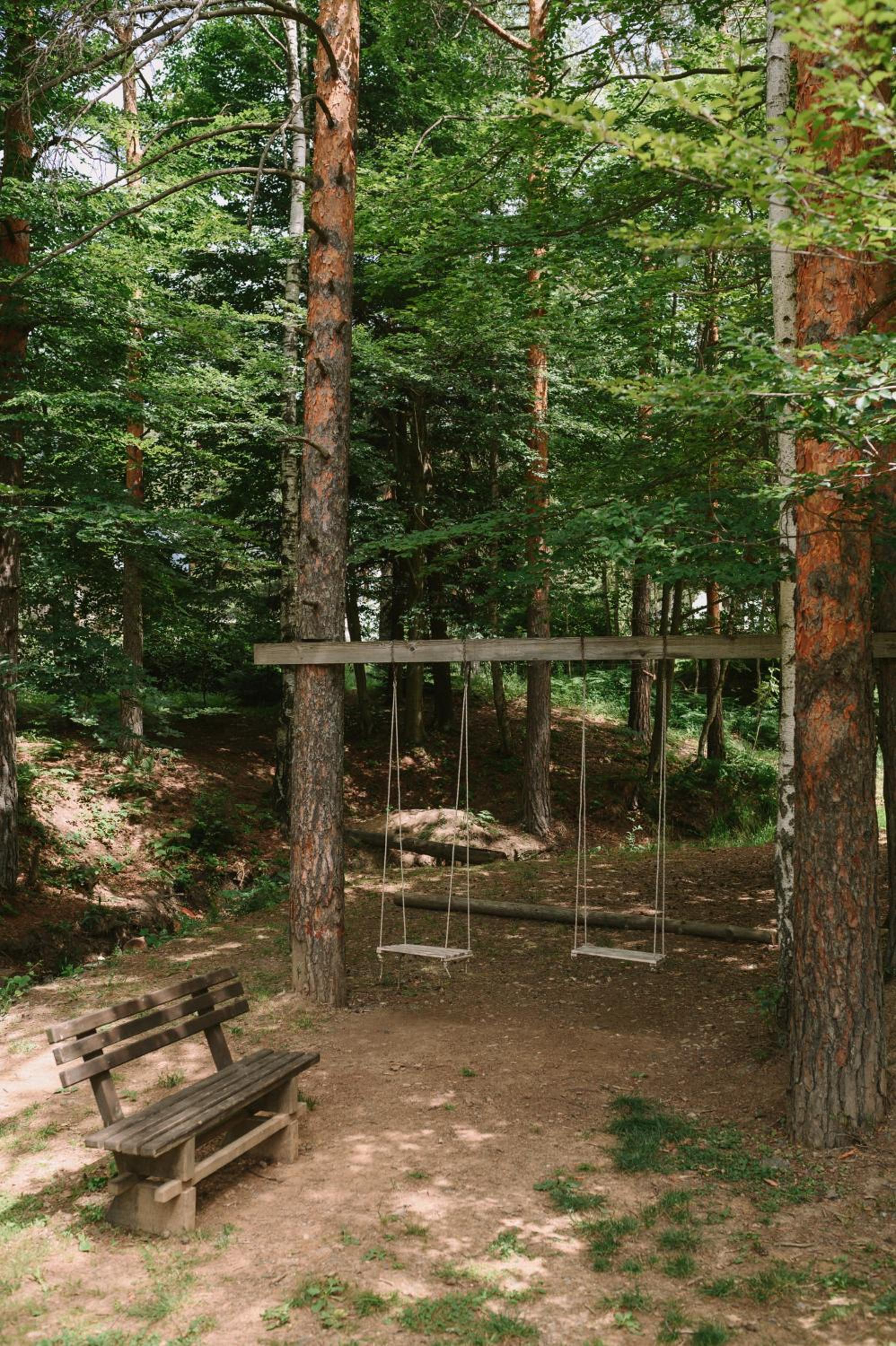 Apartman Novak - Divčigora
