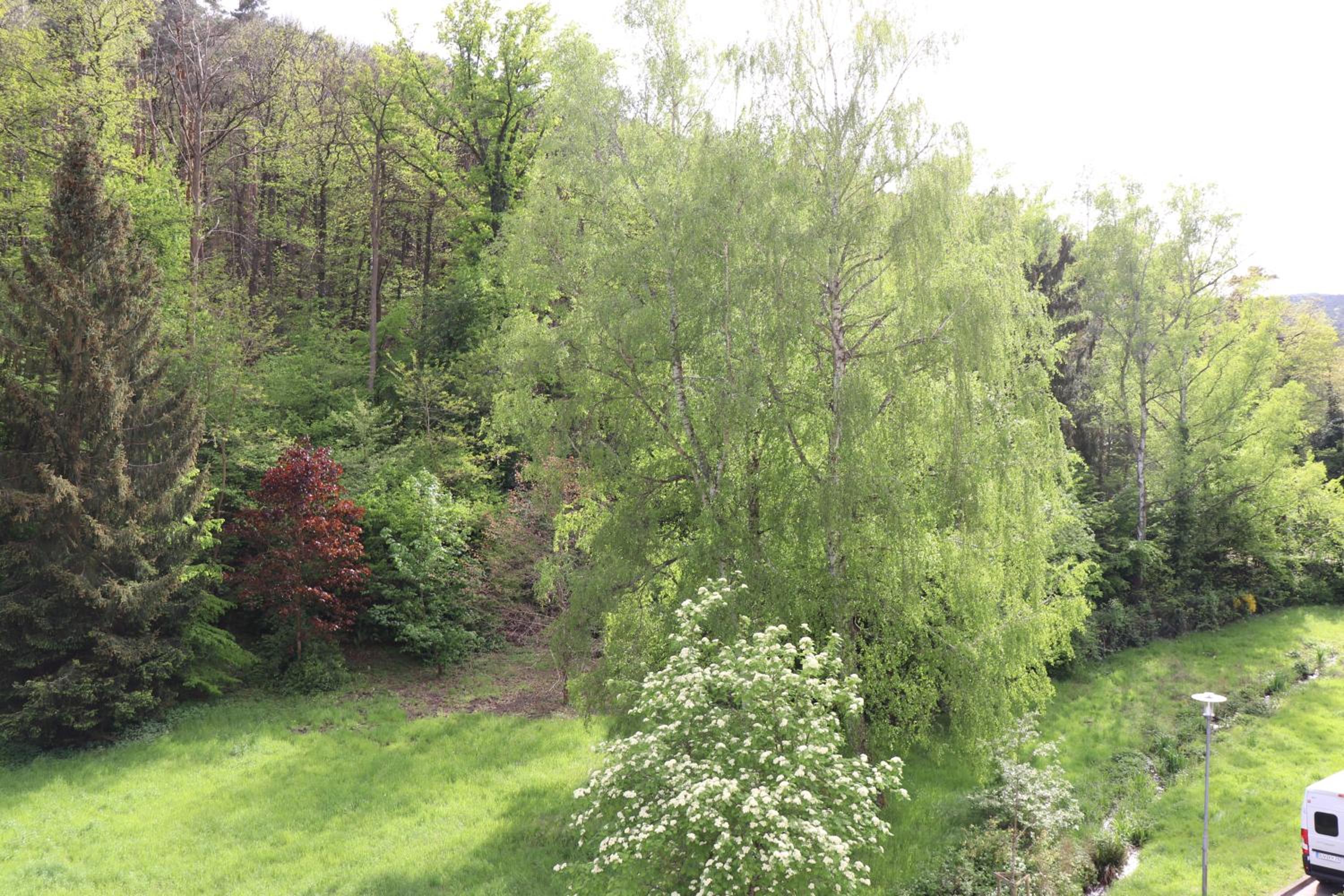 Residenz Waldblick 5 STERNE Penthouse-Ferienwohnung Klassifizierung DTV