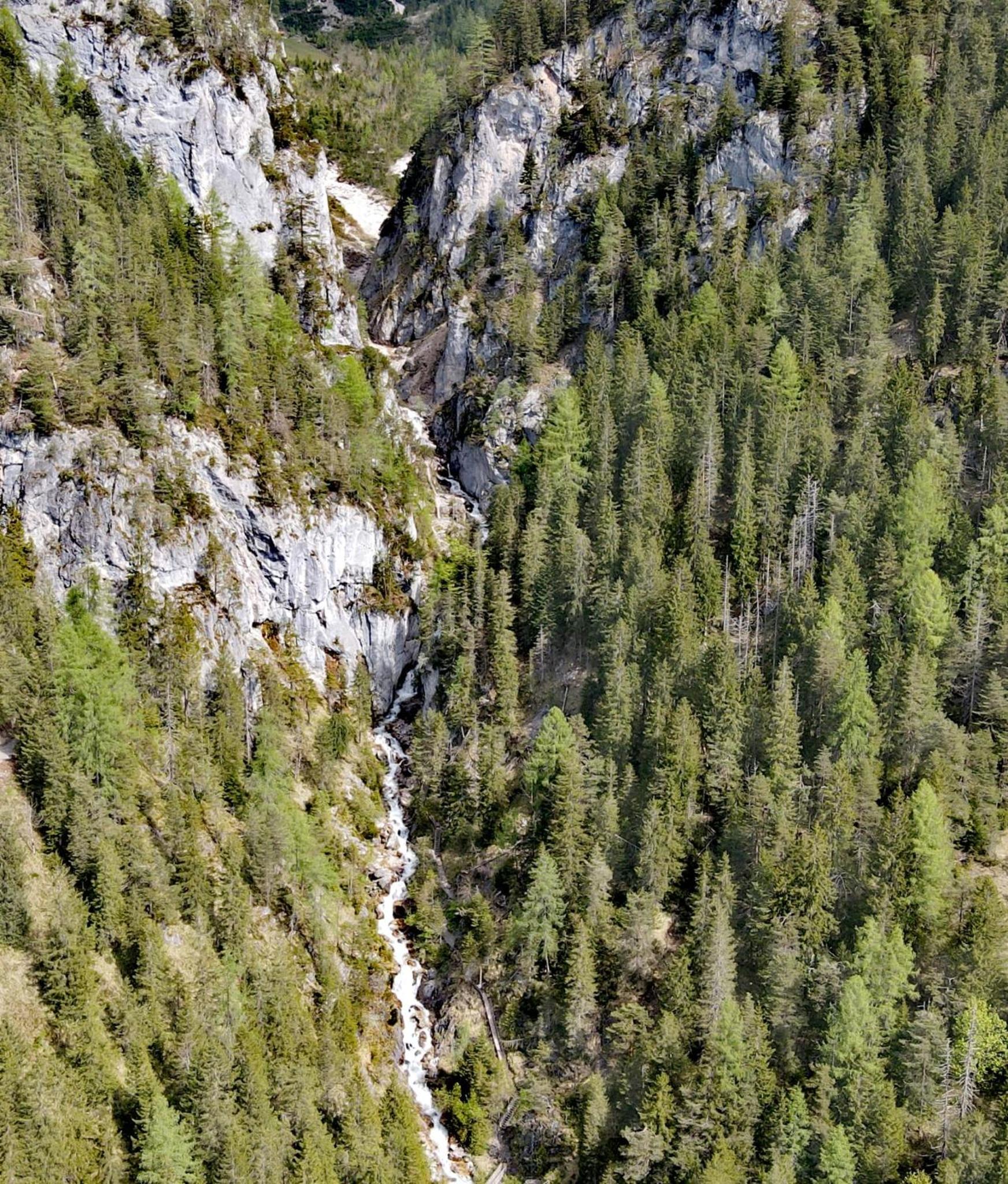 Ferienwohnung Fliegenpilz
