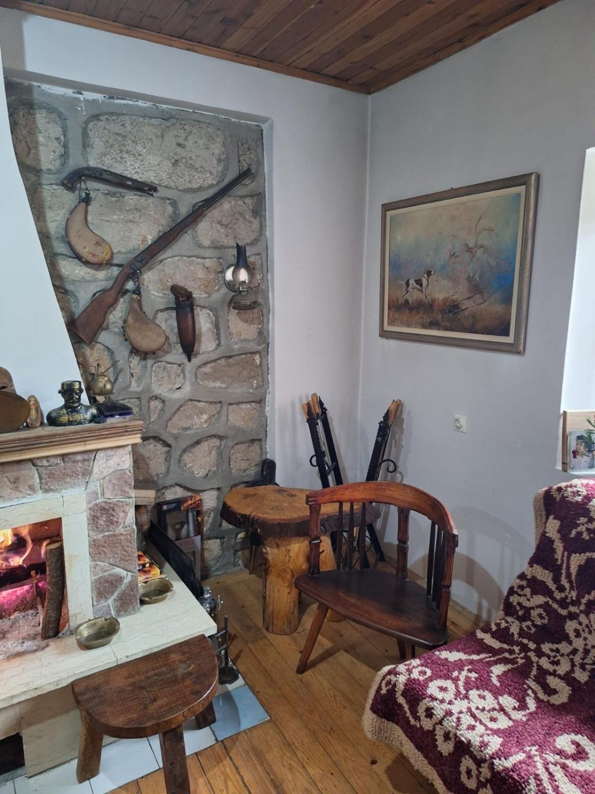 Rural Homestead Vujosevic view 2