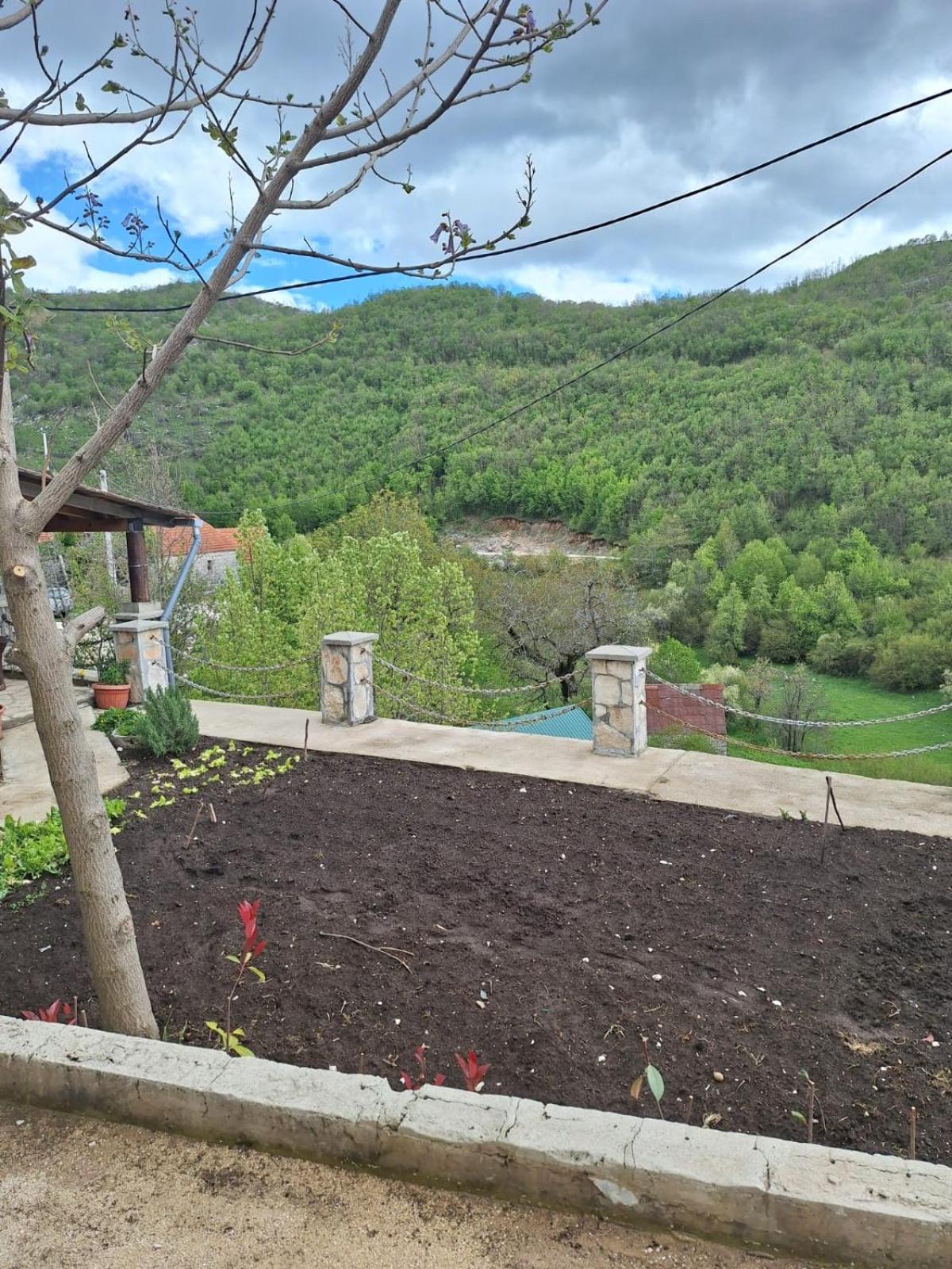 Rural Homestead Vujosevic view 5