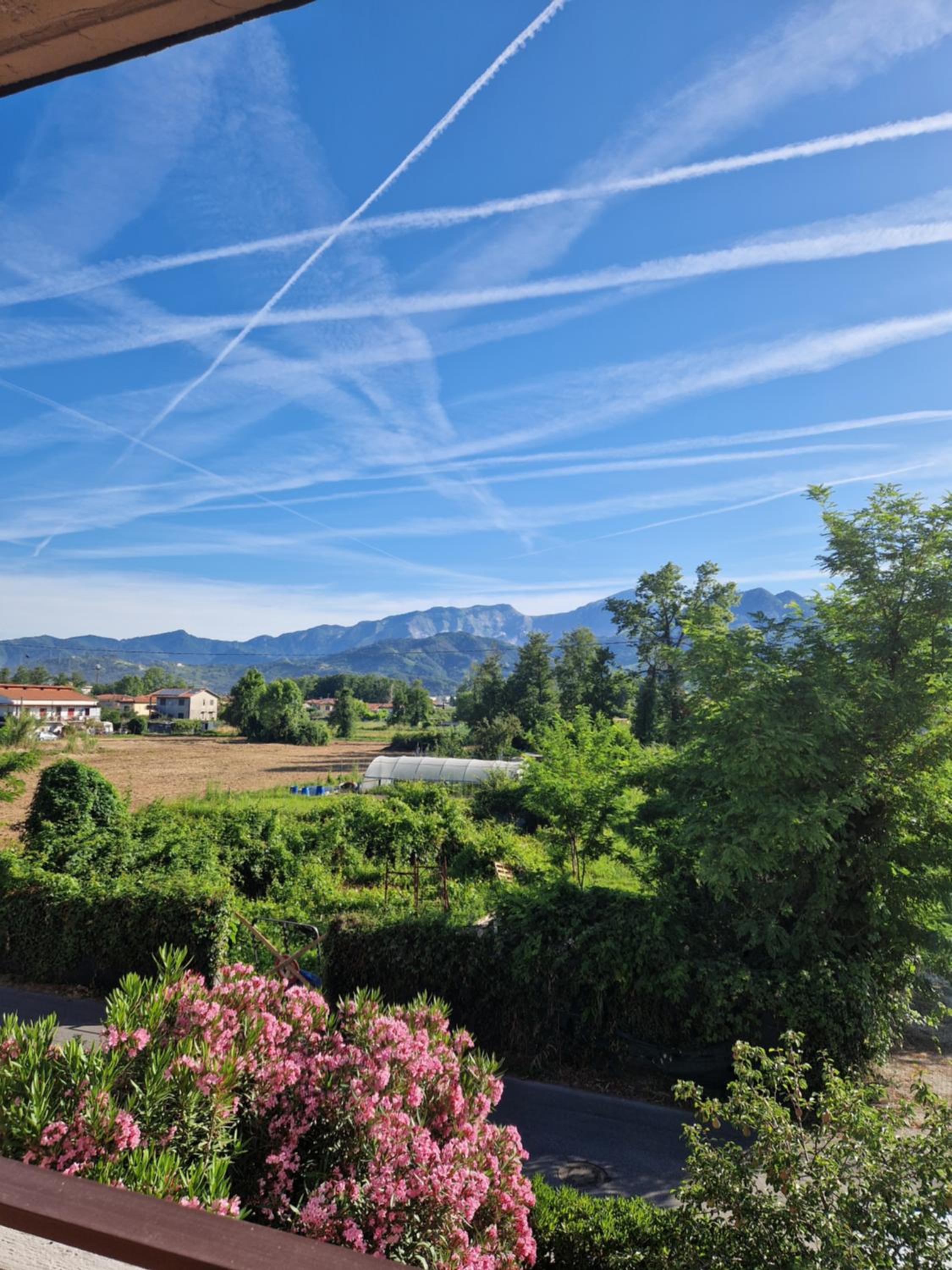 Paradiso al mare photo 2