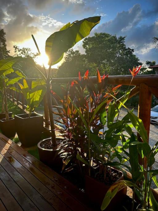 Jackjungle - Casa Duplex - Reserva Sapiranga