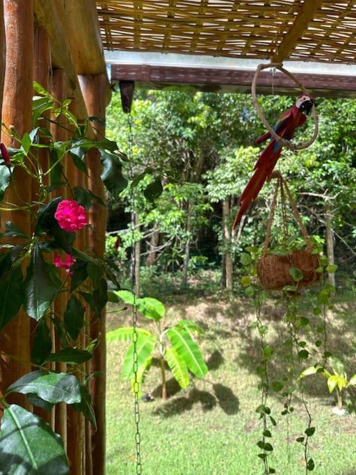 Jackjungle - Casa Duplex - Reserva Sapiranga