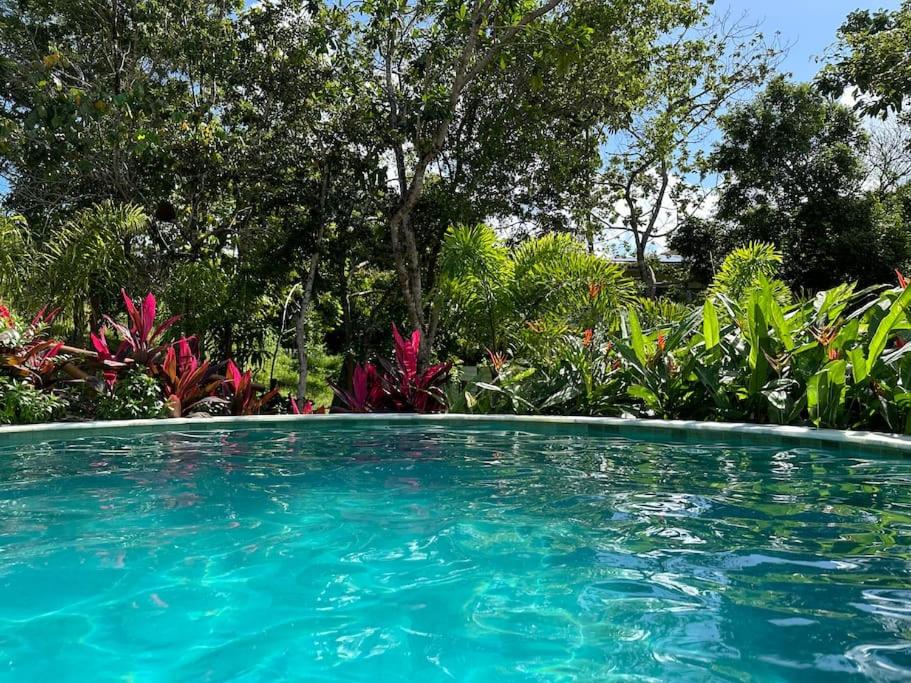 Jackjungle - Casa Duplex - Reserva Sapiranga
