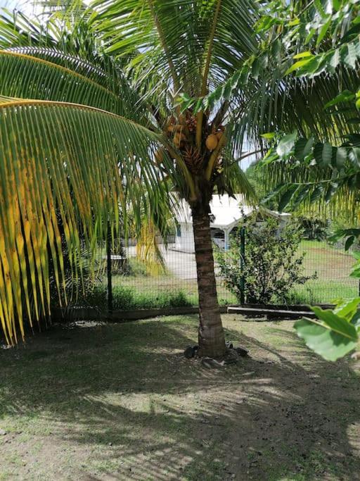 Villa Pakala au Diamant-jolie villa avec piscine et jardin