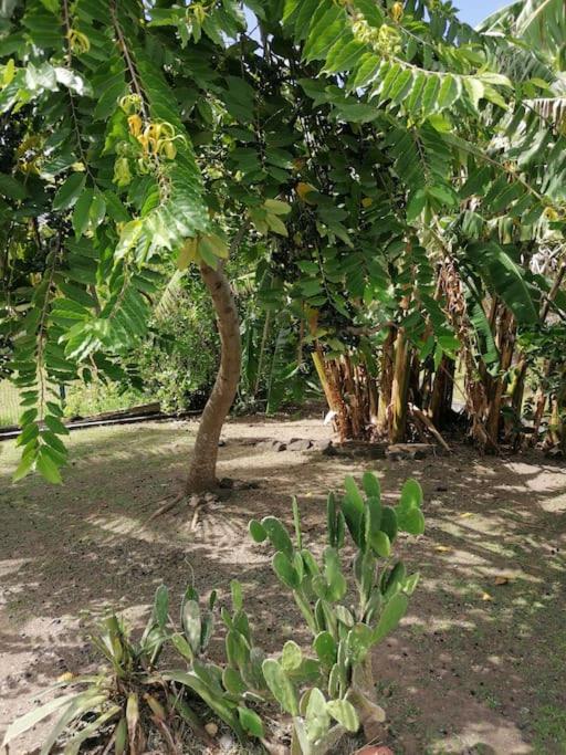 Villa Pakala au Diamant-jolie villa avec piscine et jardin