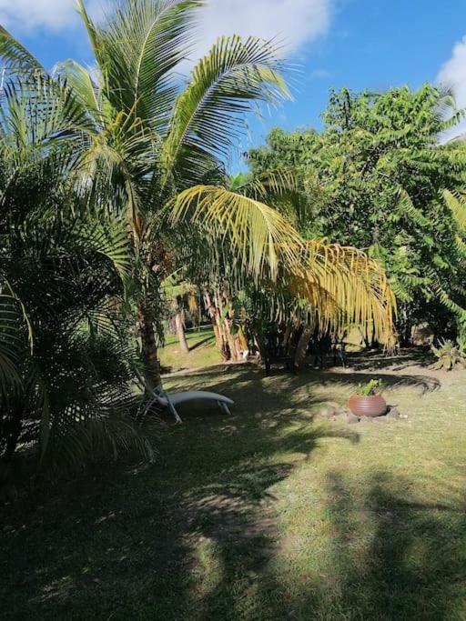 Villa Pakala au Diamant-jolie villa avec piscine et jardin
