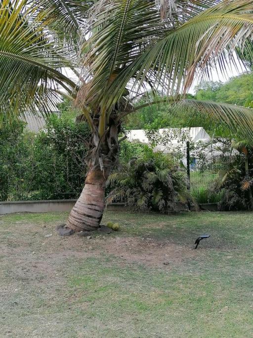 Villa Pakala au Diamant-jolie villa avec piscine et jardin