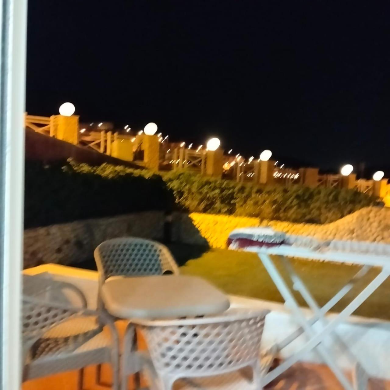 Mahmoud Mahdy